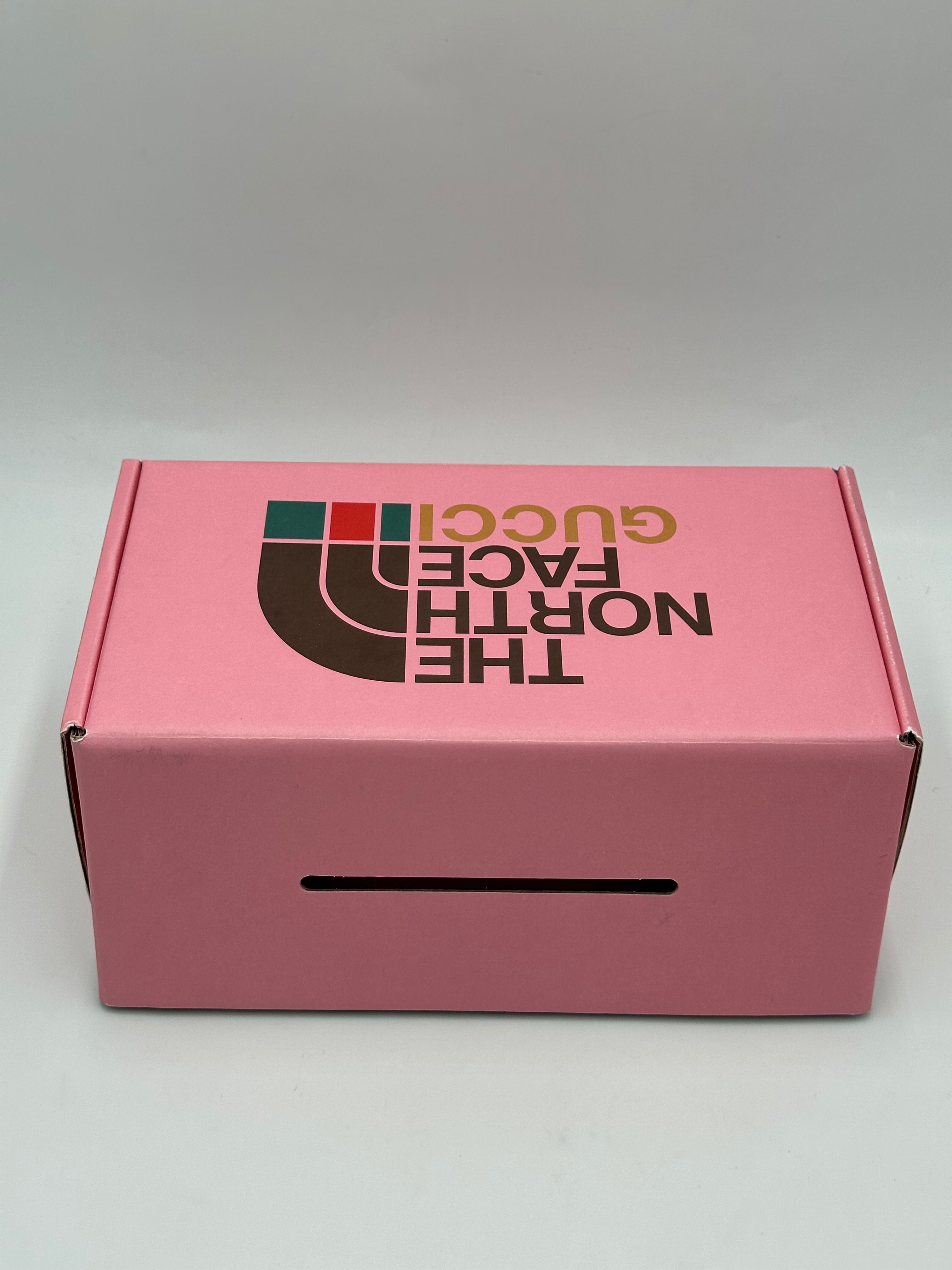 Gucci x The North Face Ophidia Zip Belt Bag