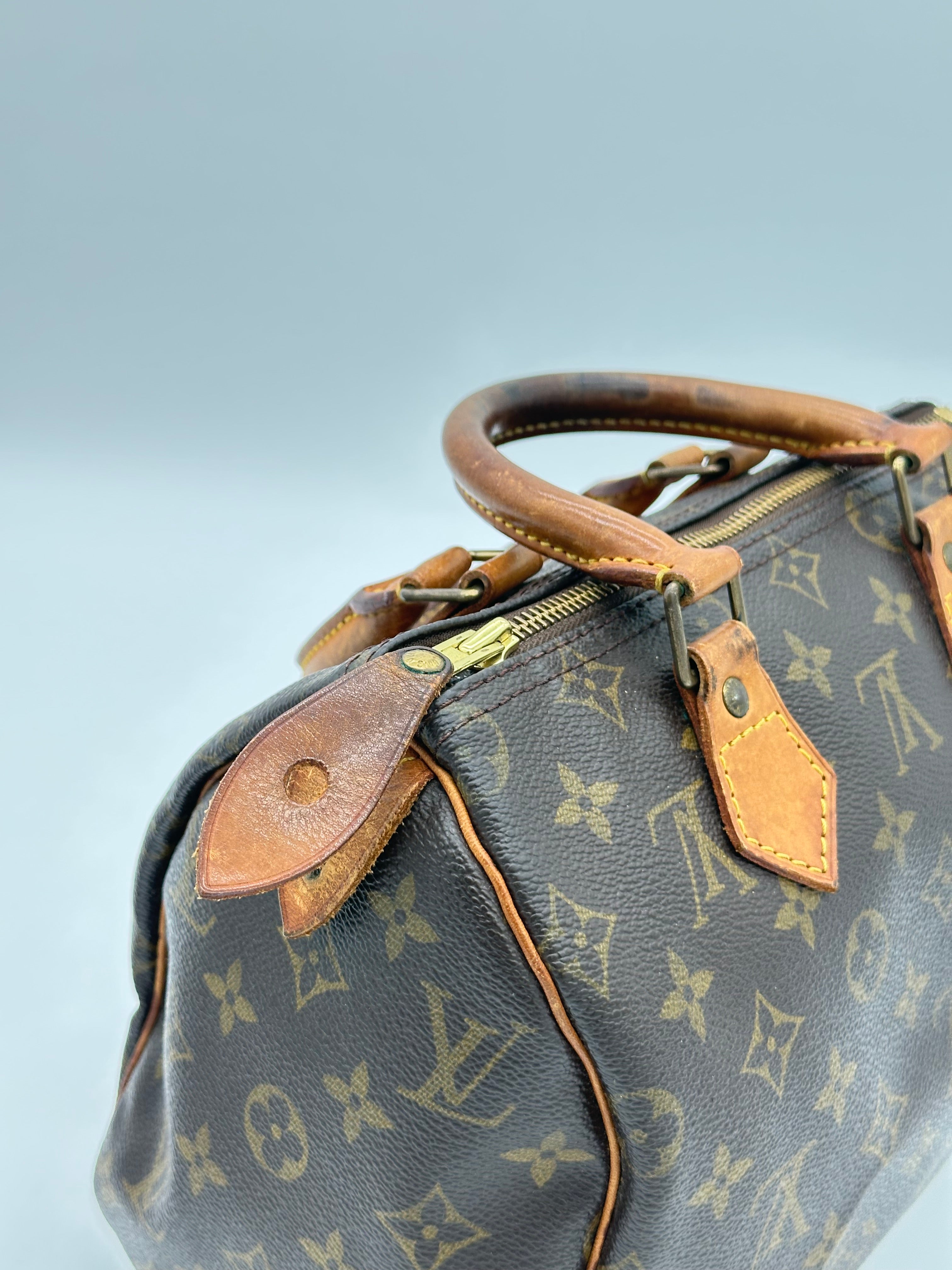 Louis Vuitton Speedy 25