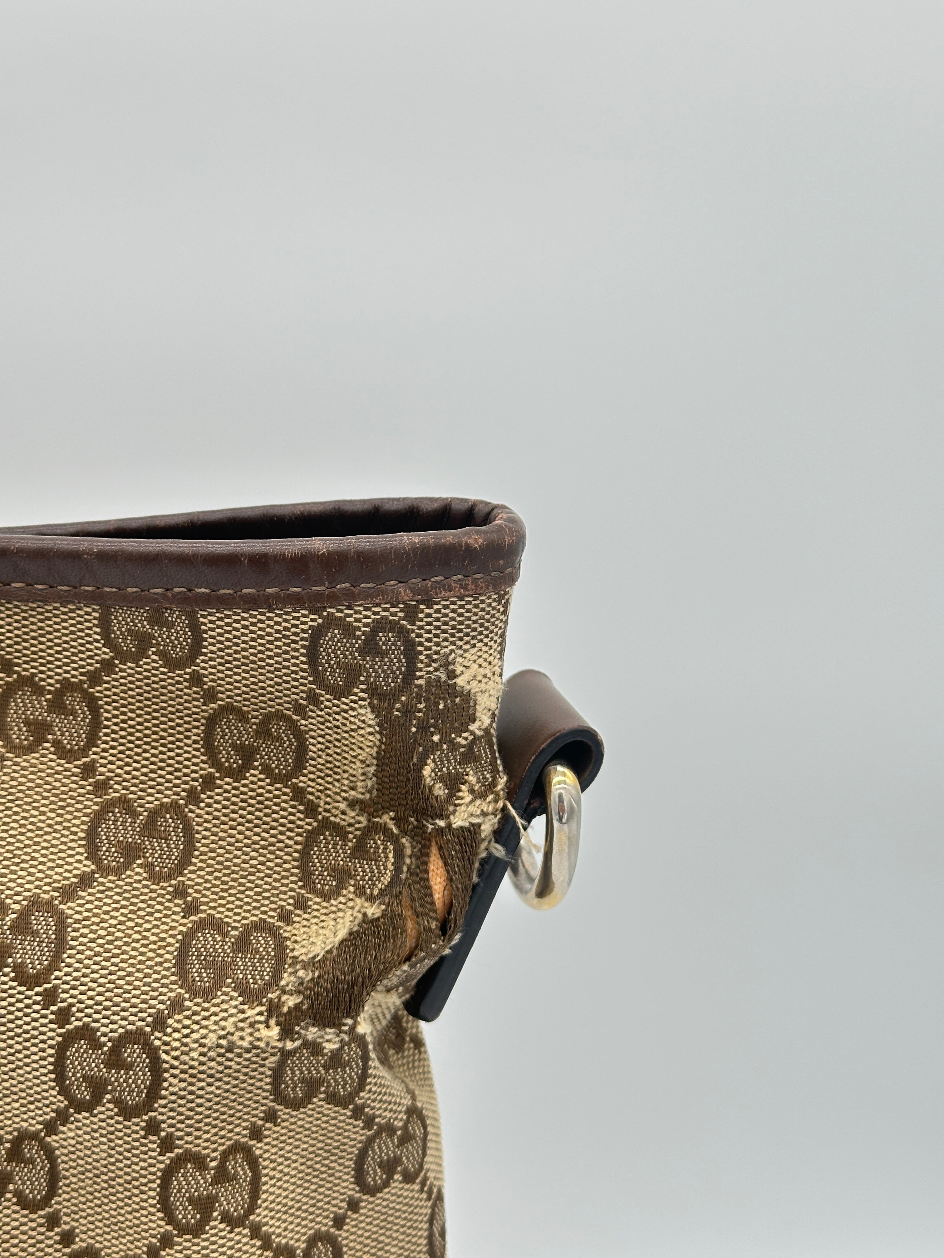 Gucci Marron Canvas