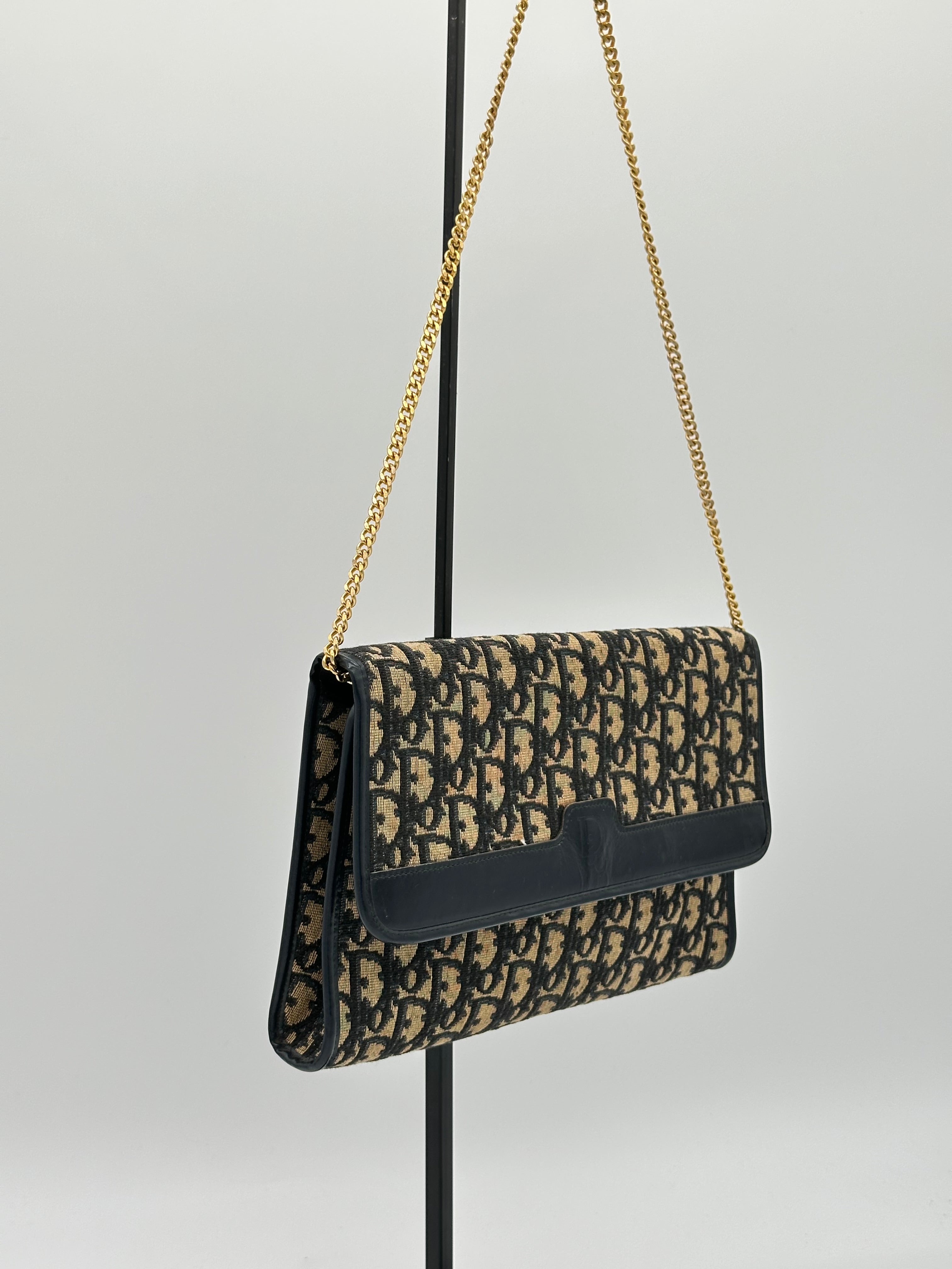 Dior Trotter Canvas