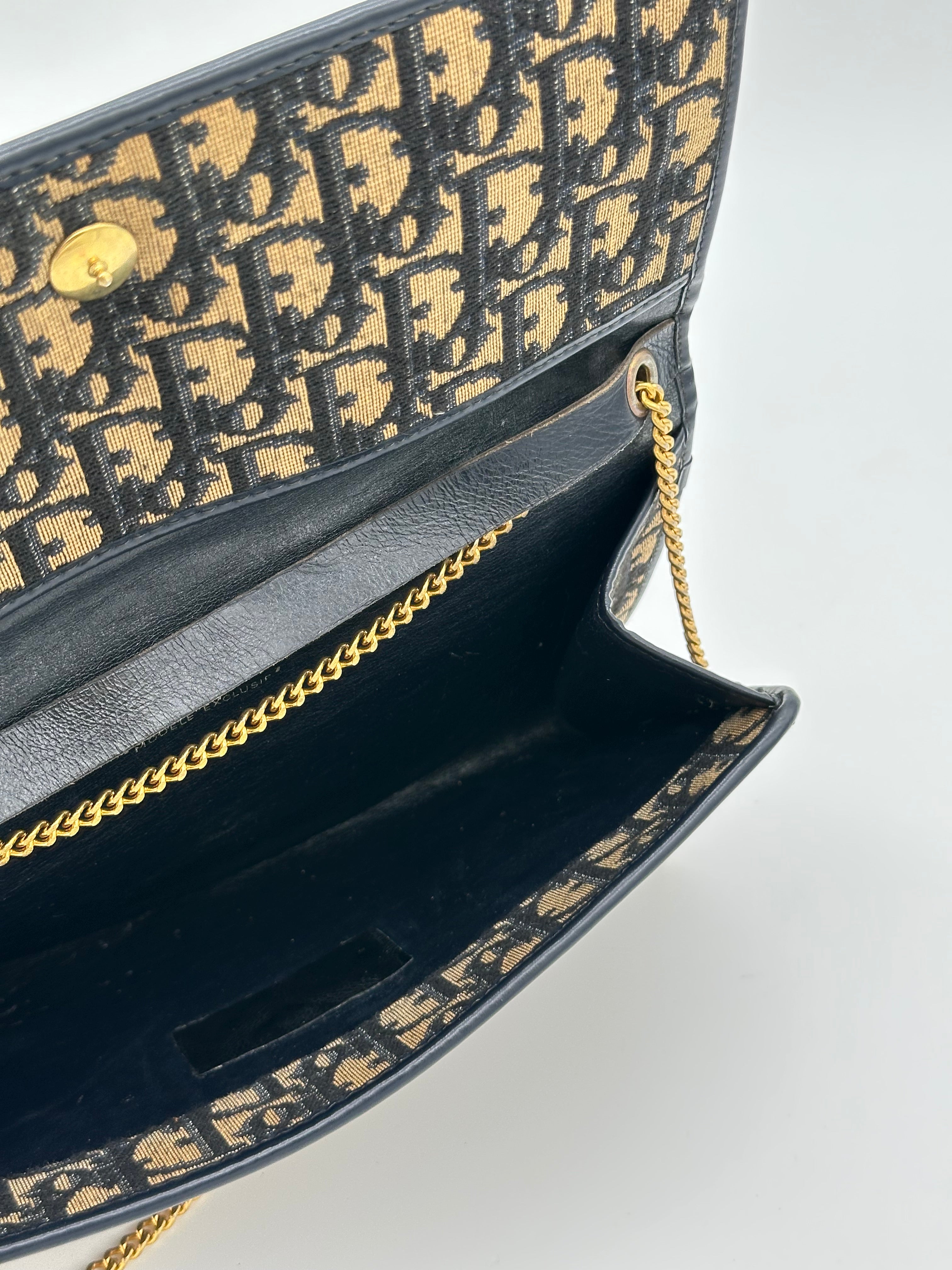 Dior Trotter Canvas