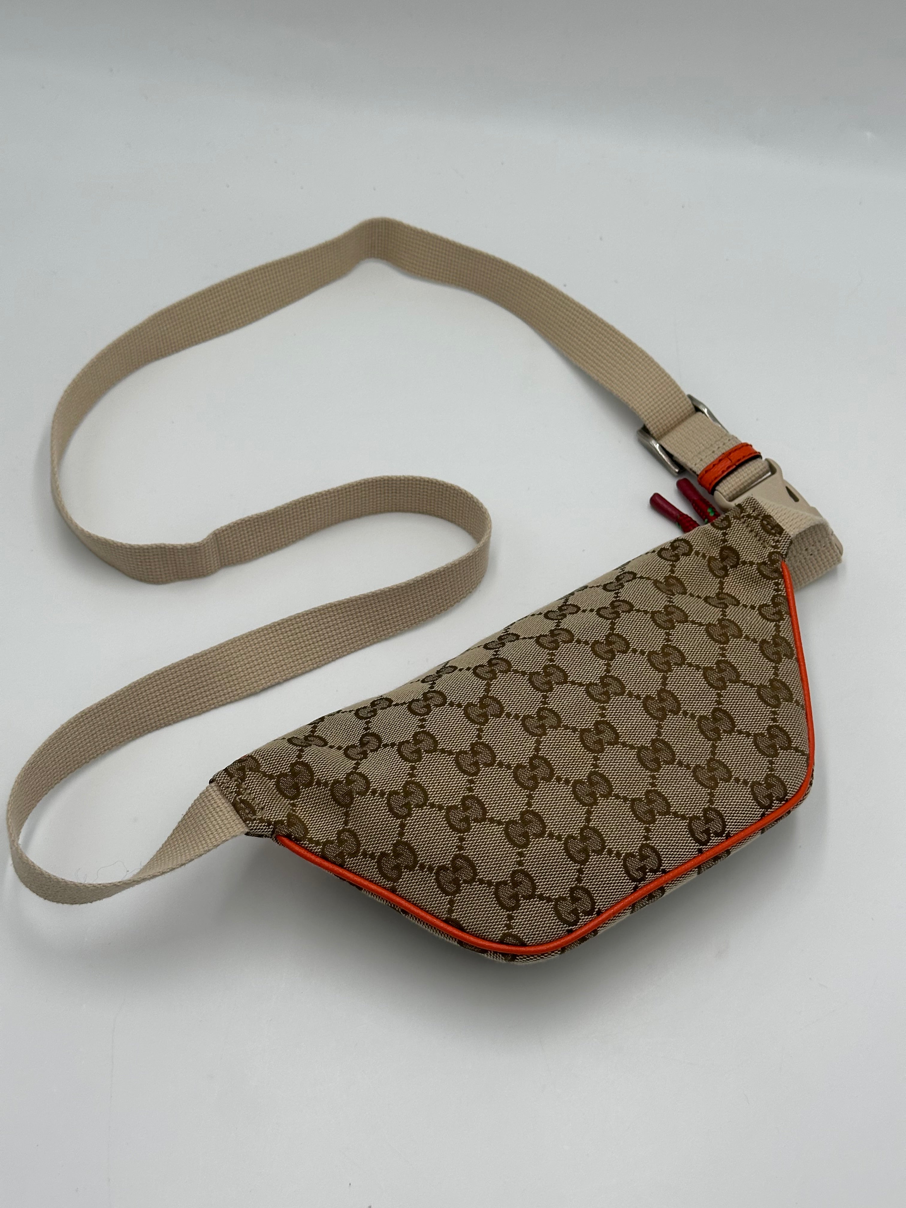 Gucci x The North Face Ophidia Zip Belt Bag