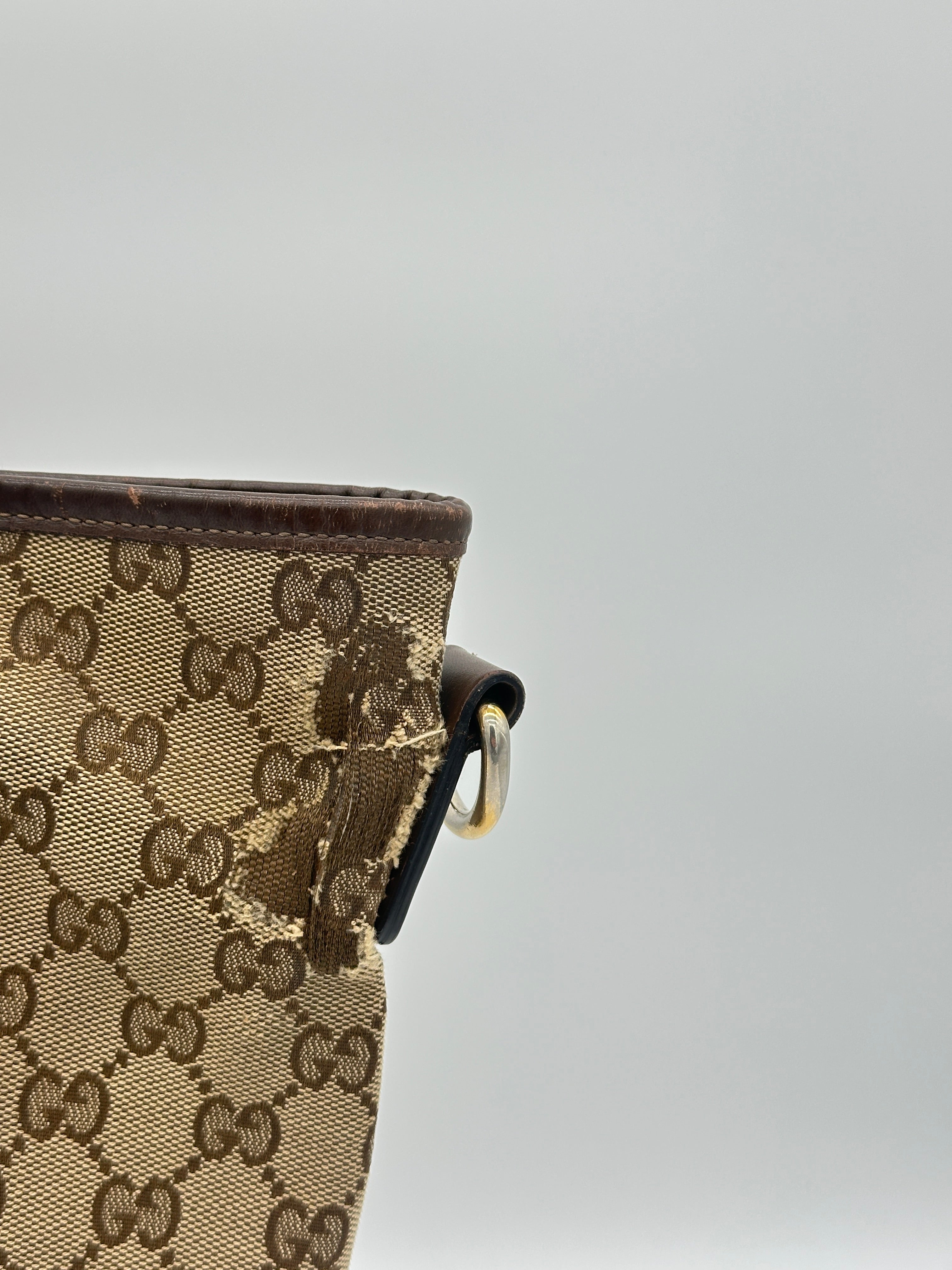 Gucci Marron Canvas