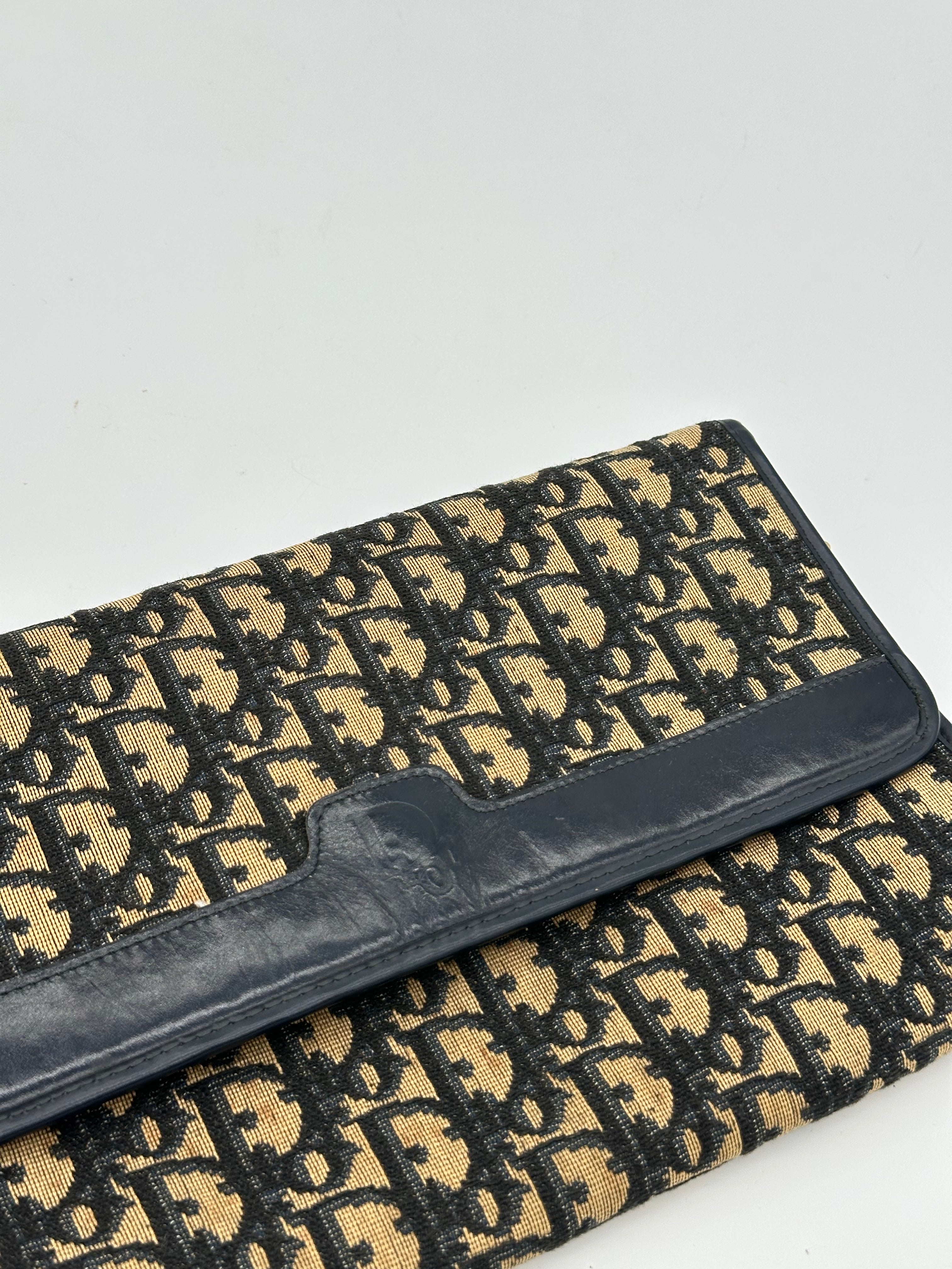 Dior Trotter Canvas