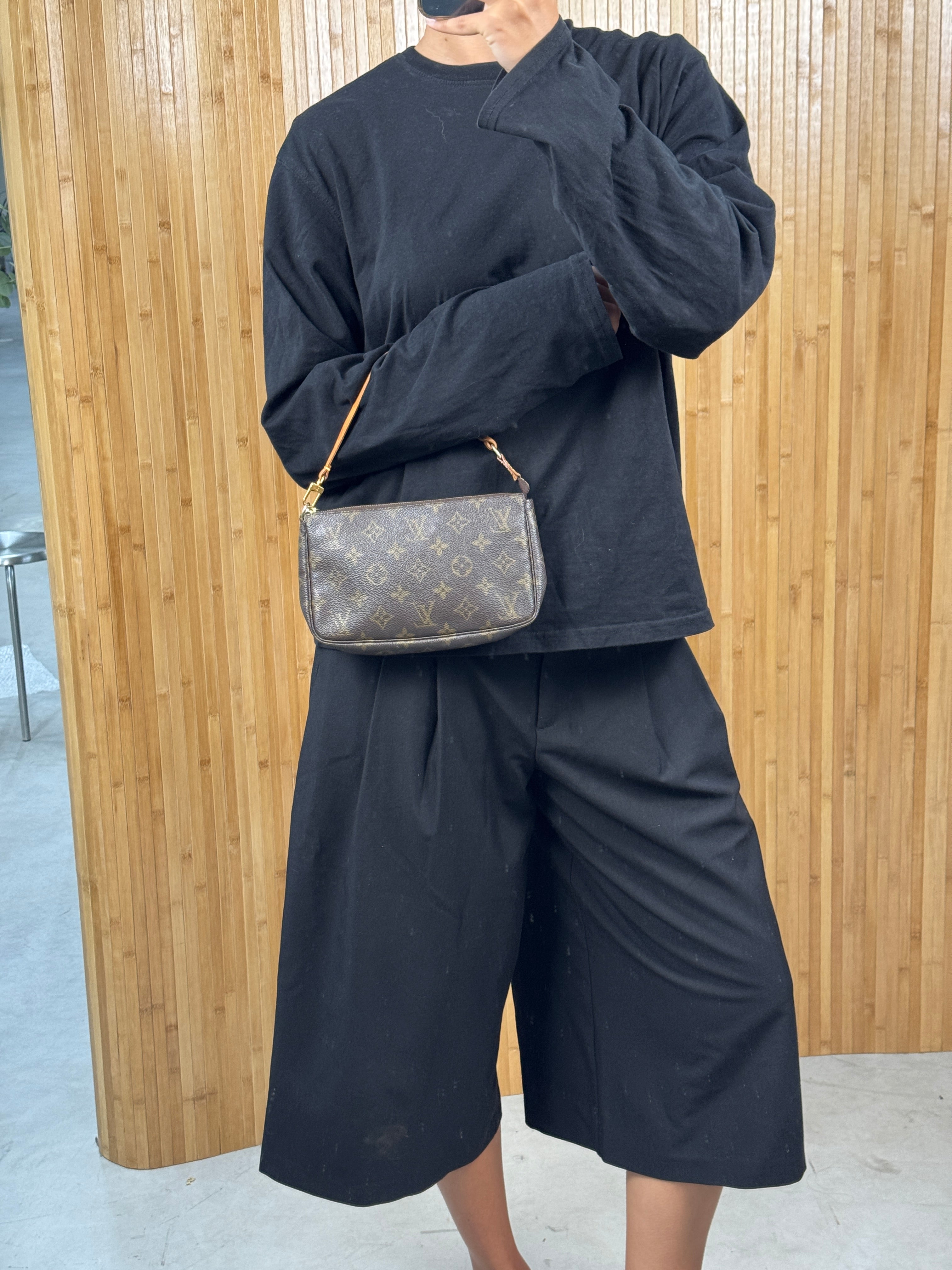 Louis Vuitton Pochette Accessoires