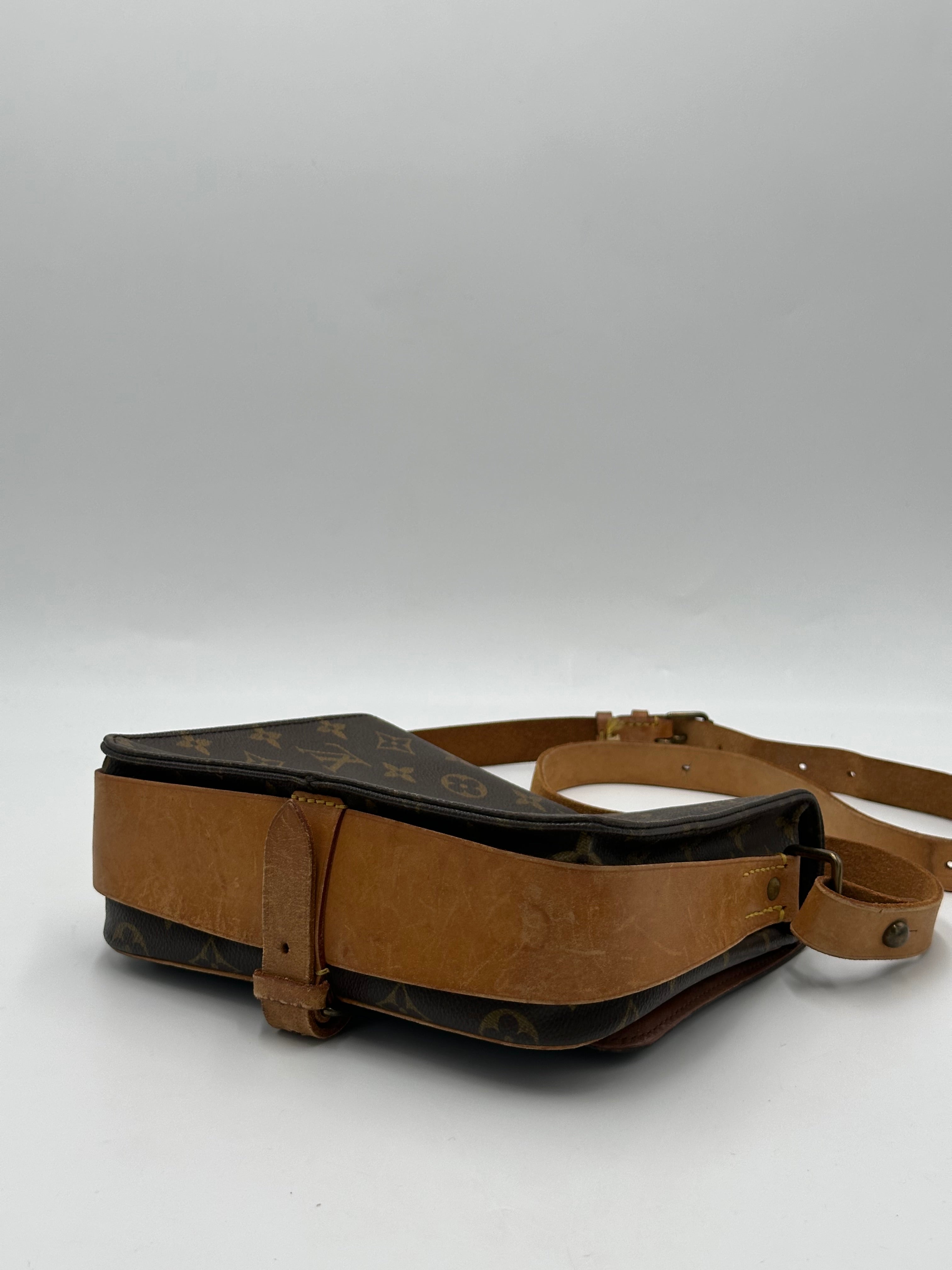 Louis Vuitton Cartouchiere