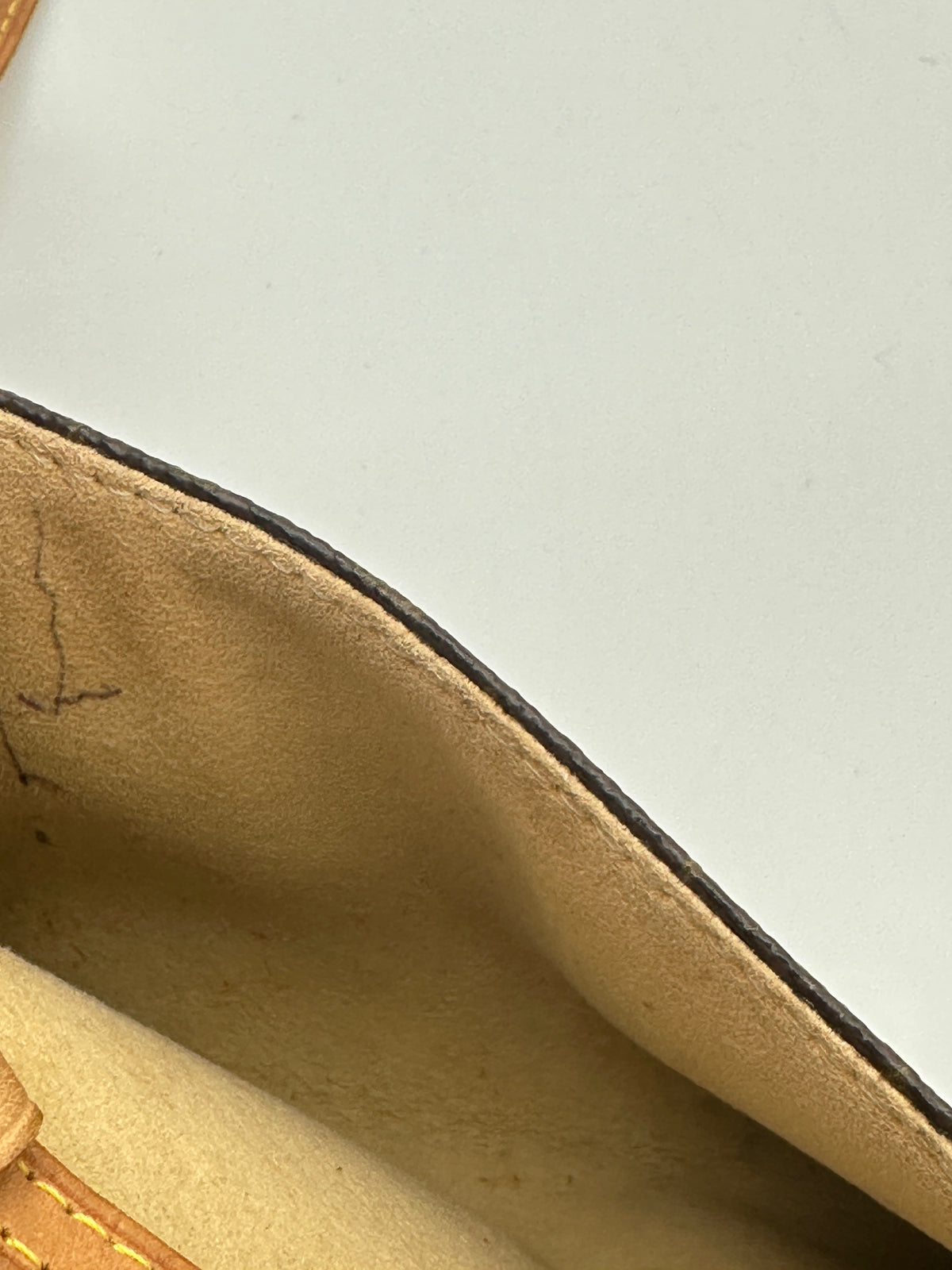 Louis Vuitton Twin Pochette PM
