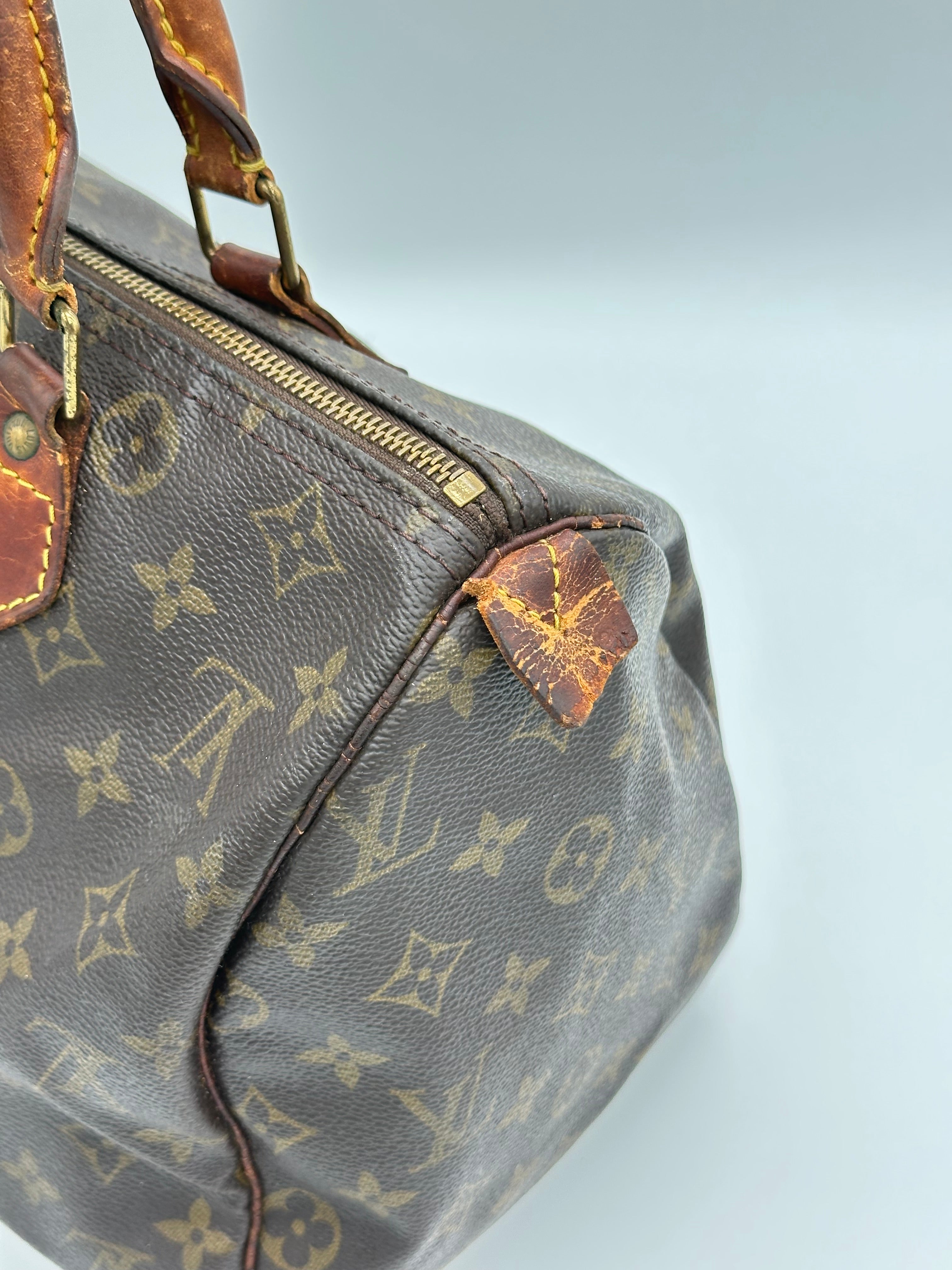 Louis Vuitton Speedy 30