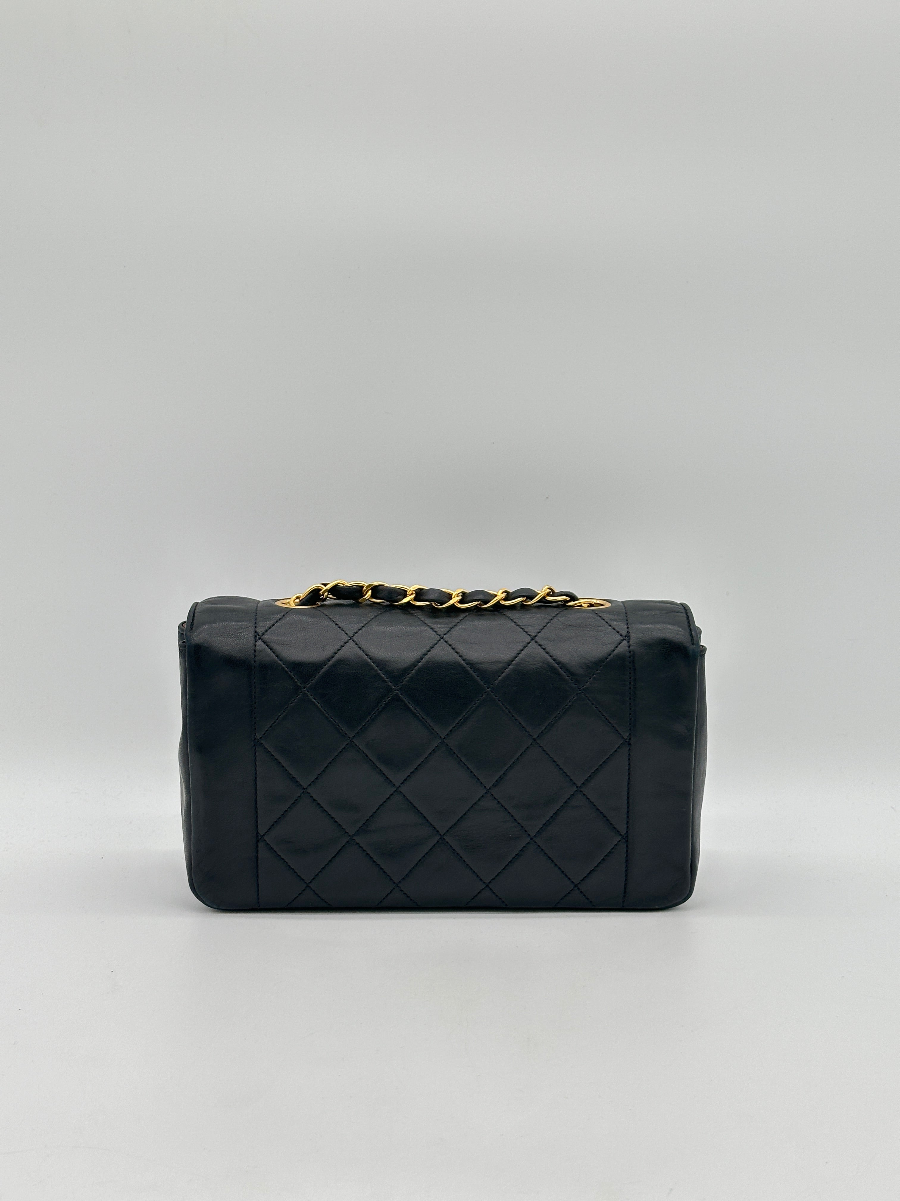 Chanel Diana Small Bag