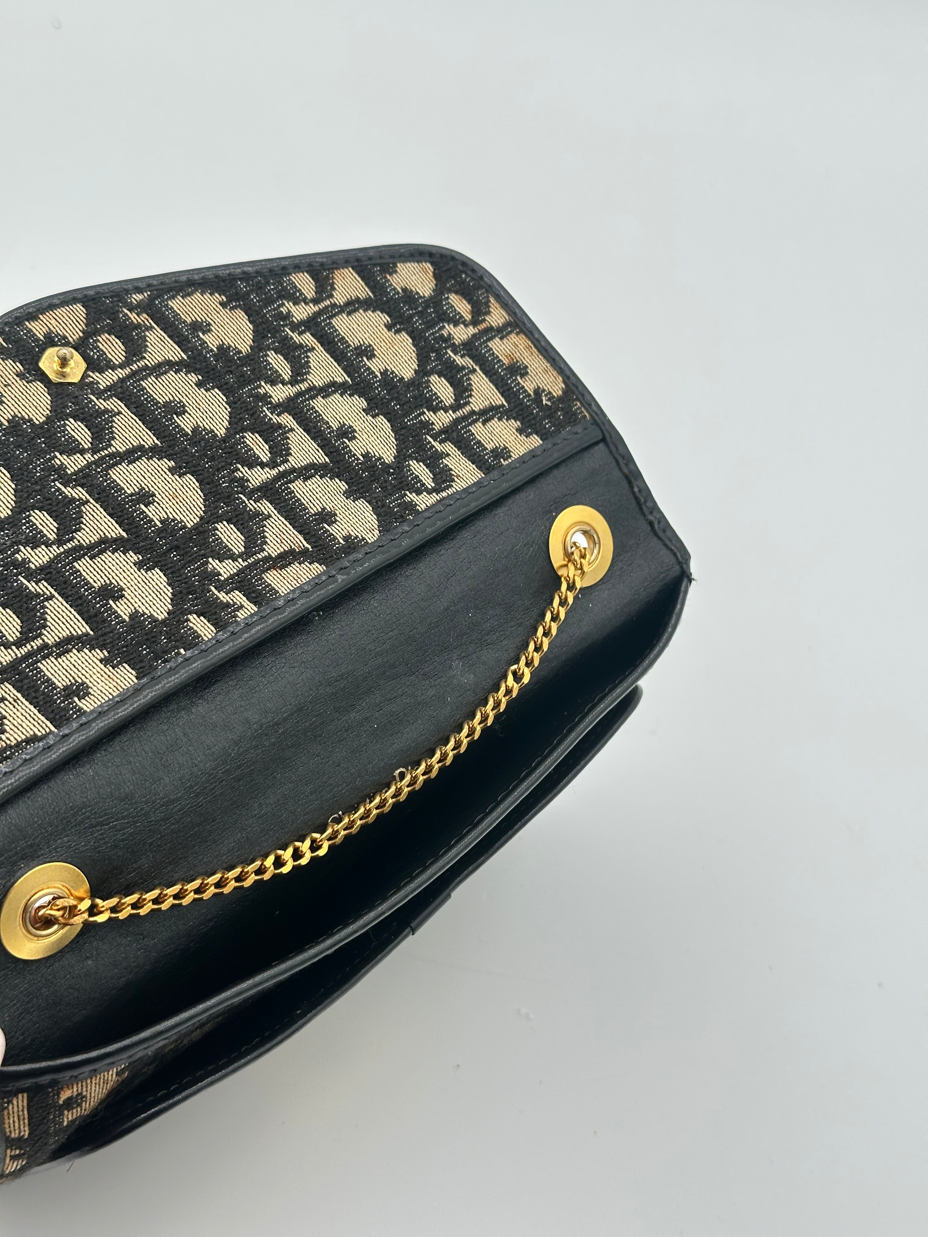Dior Oblique CD Canvas
