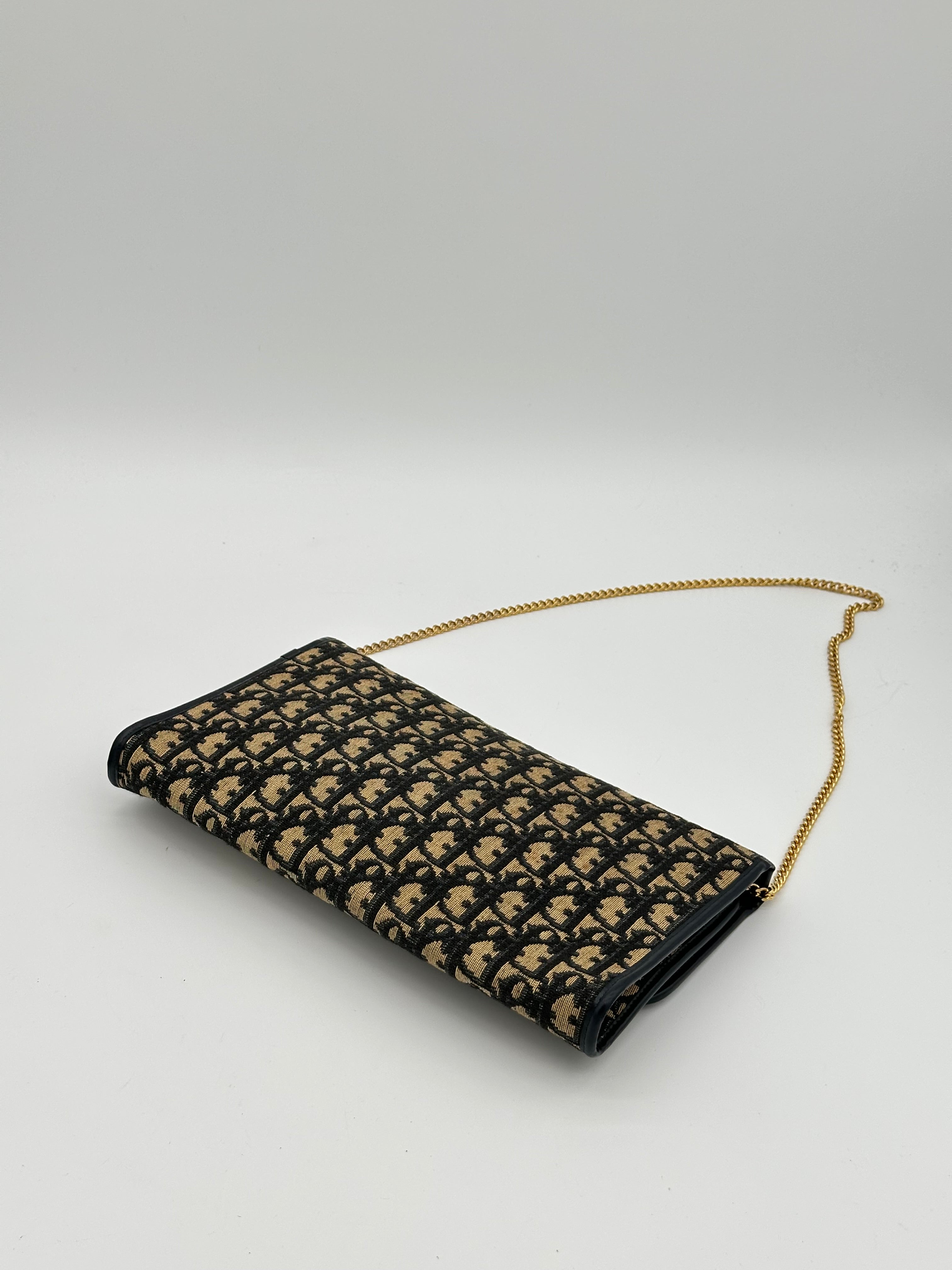 Dior Trotter Canvas