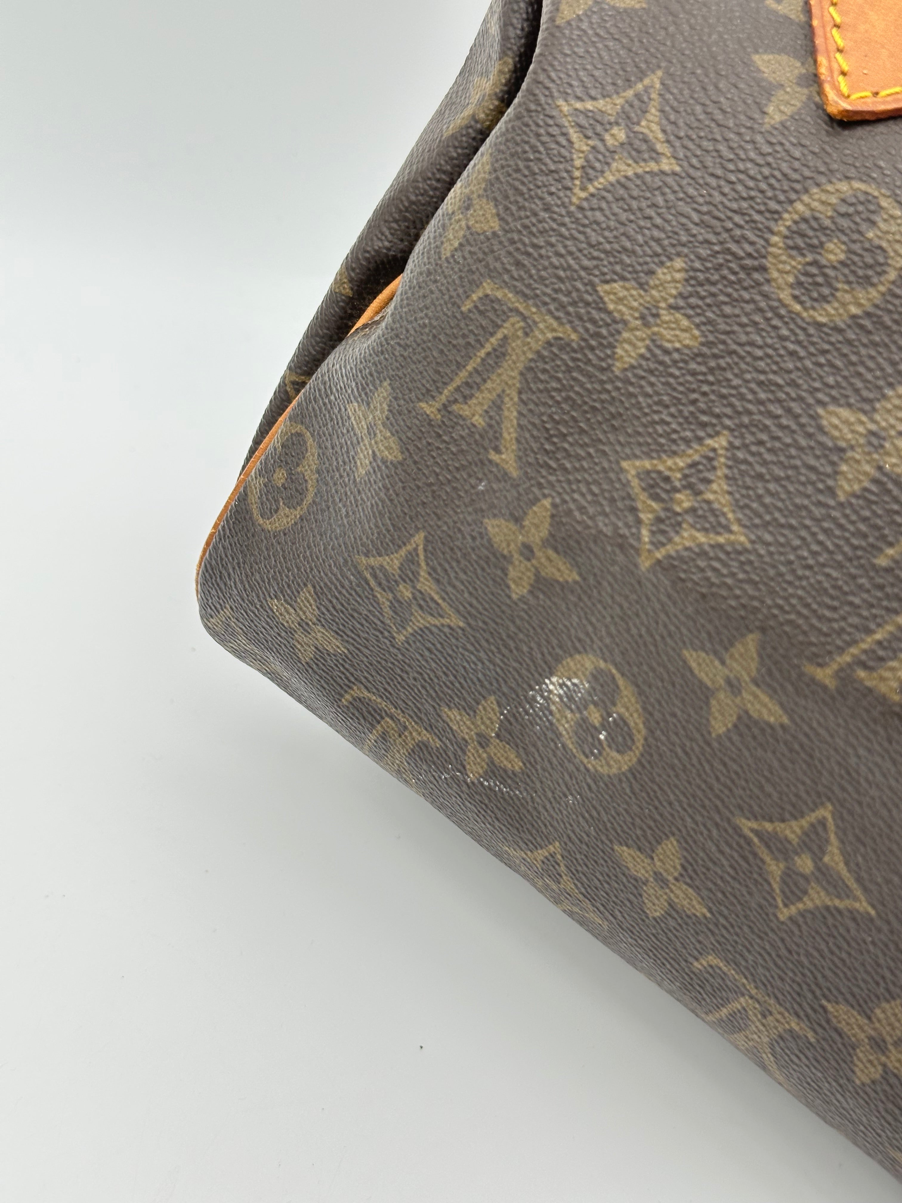 Louis Vuitton Speedy 25