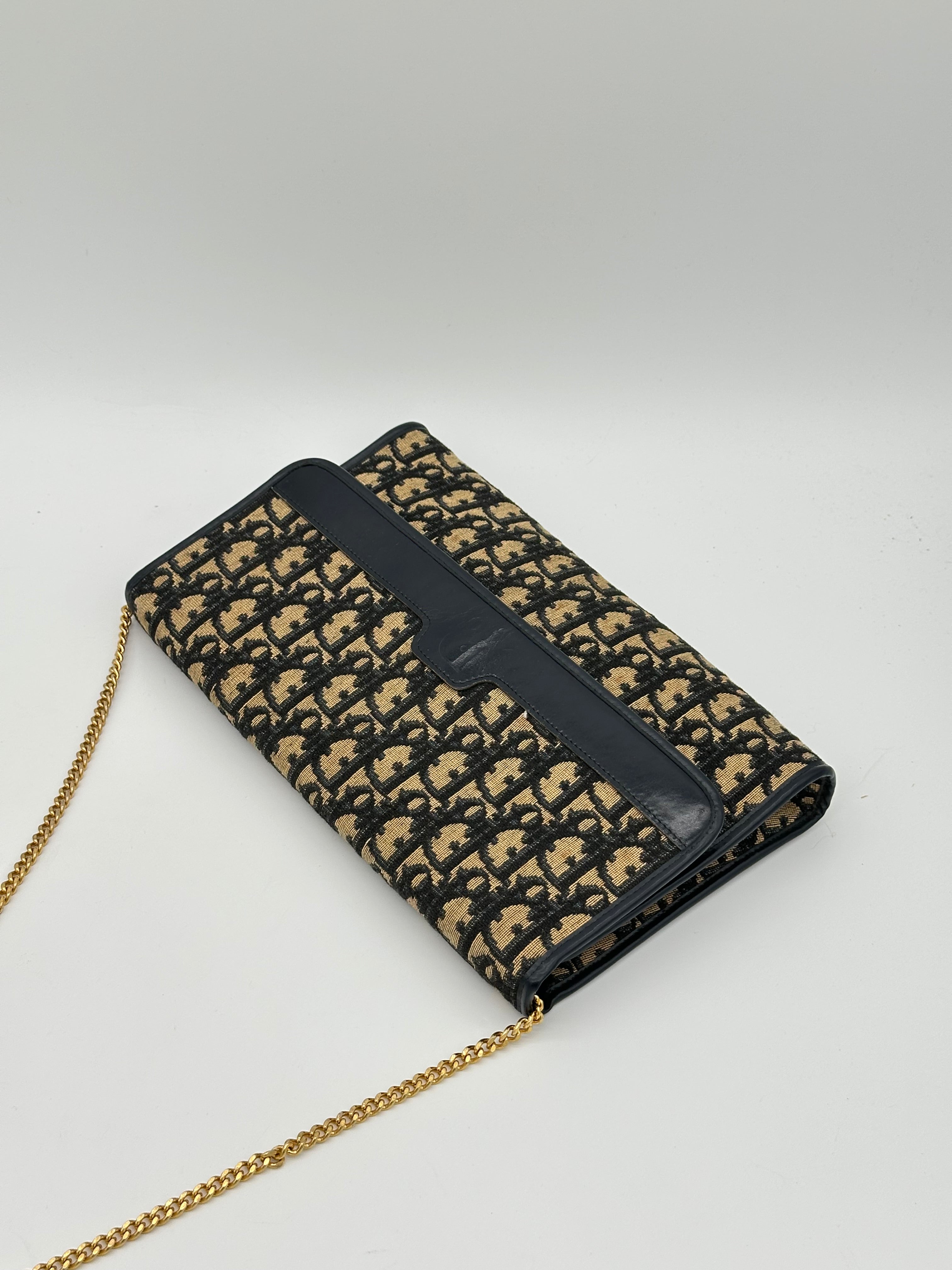 Dior Trotter Canvas