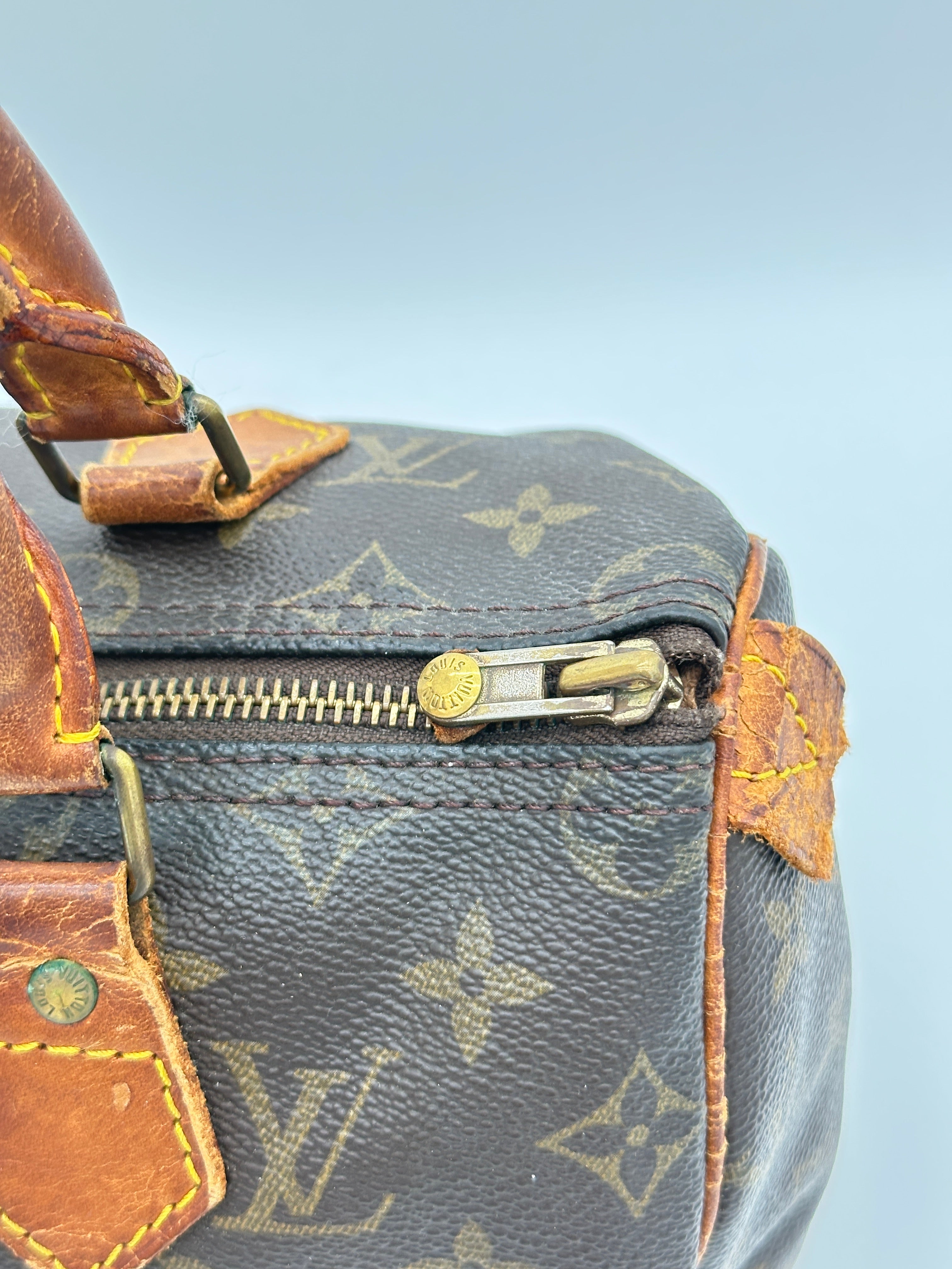 Louis Vuitton Speedy 25