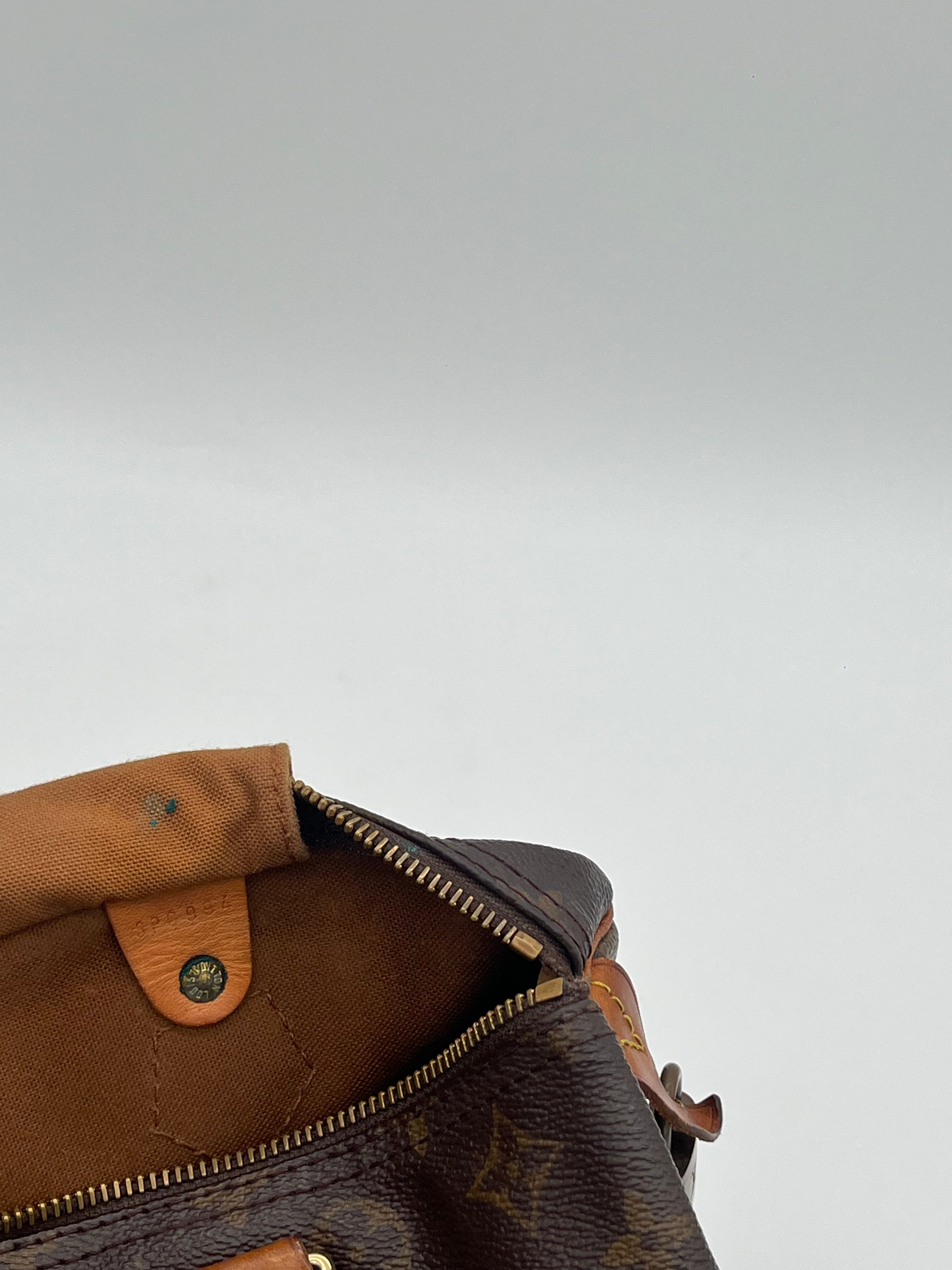Louis Vuitton Speedy 30