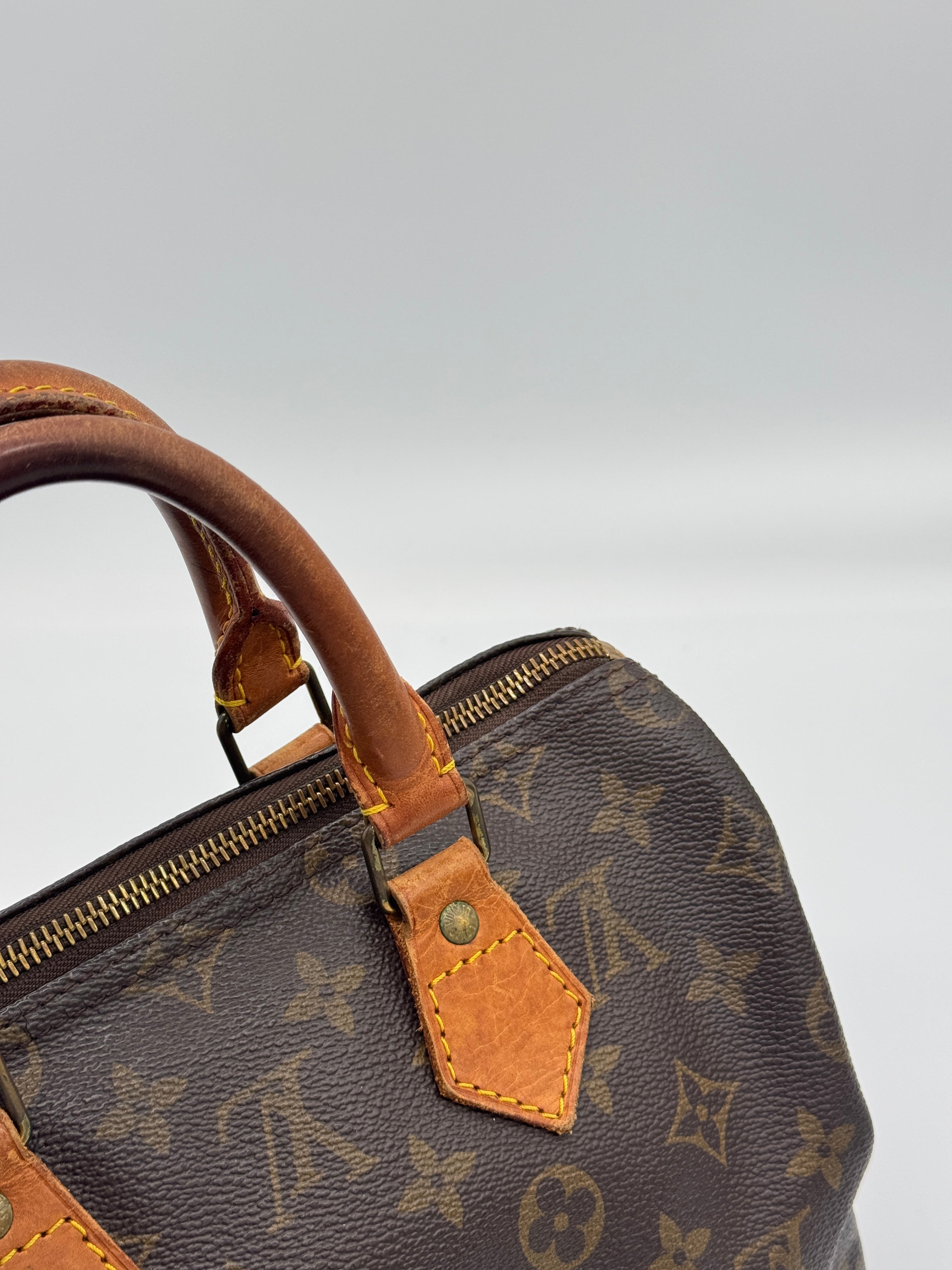 Louis Vuitton Speedy 25