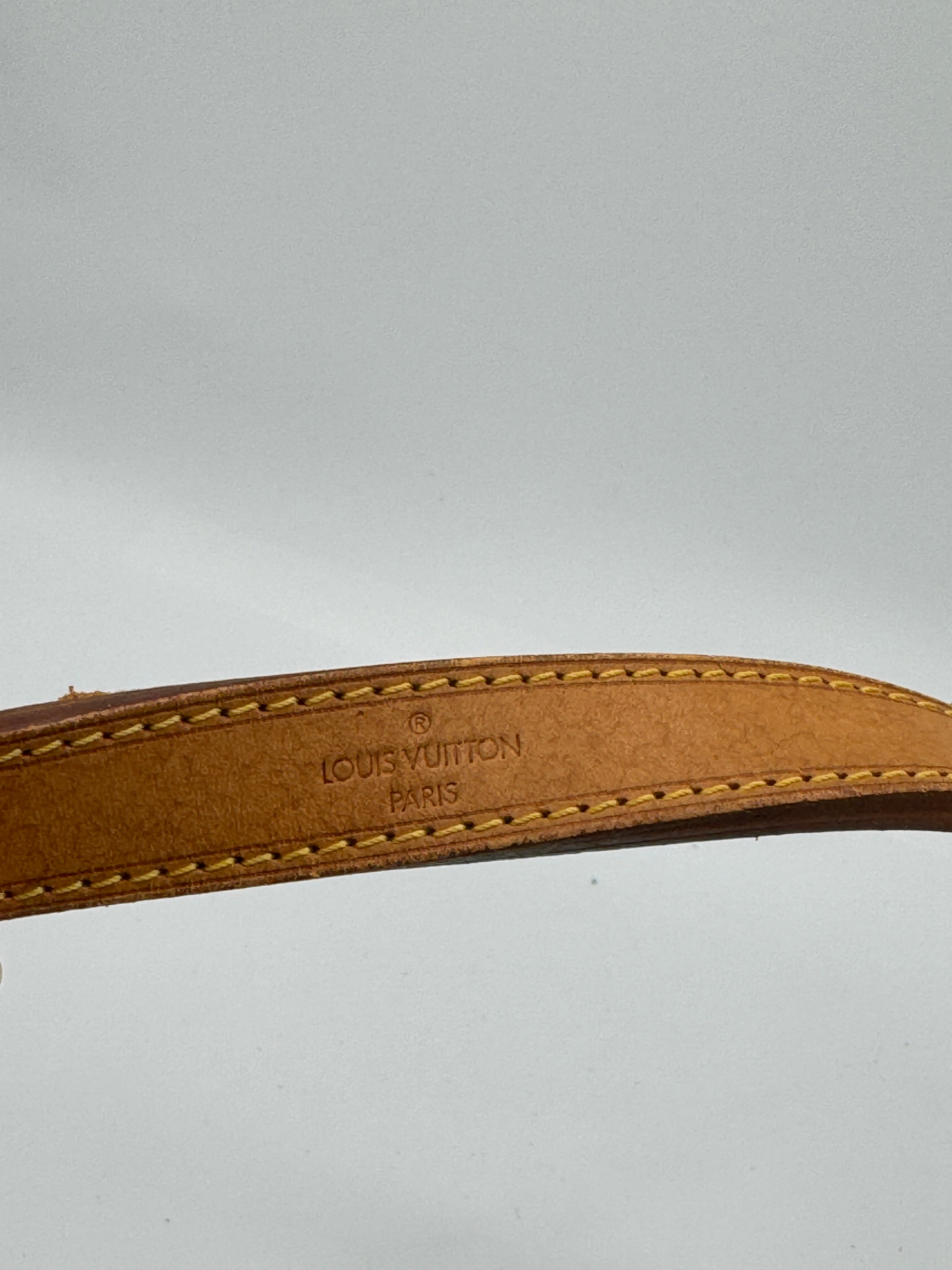 Louis Vuitton Petit Noé
