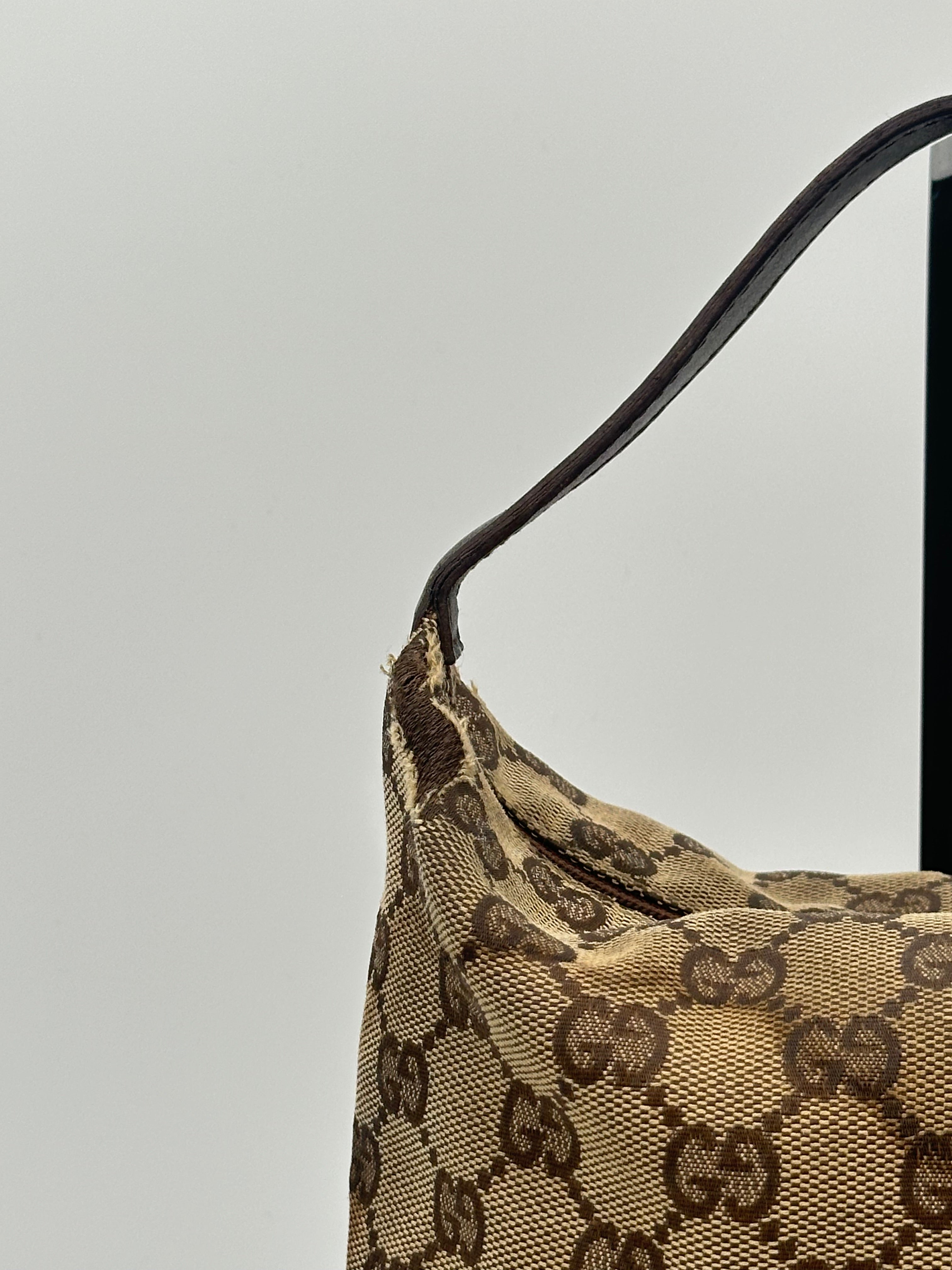 Gucci Mini Canvas