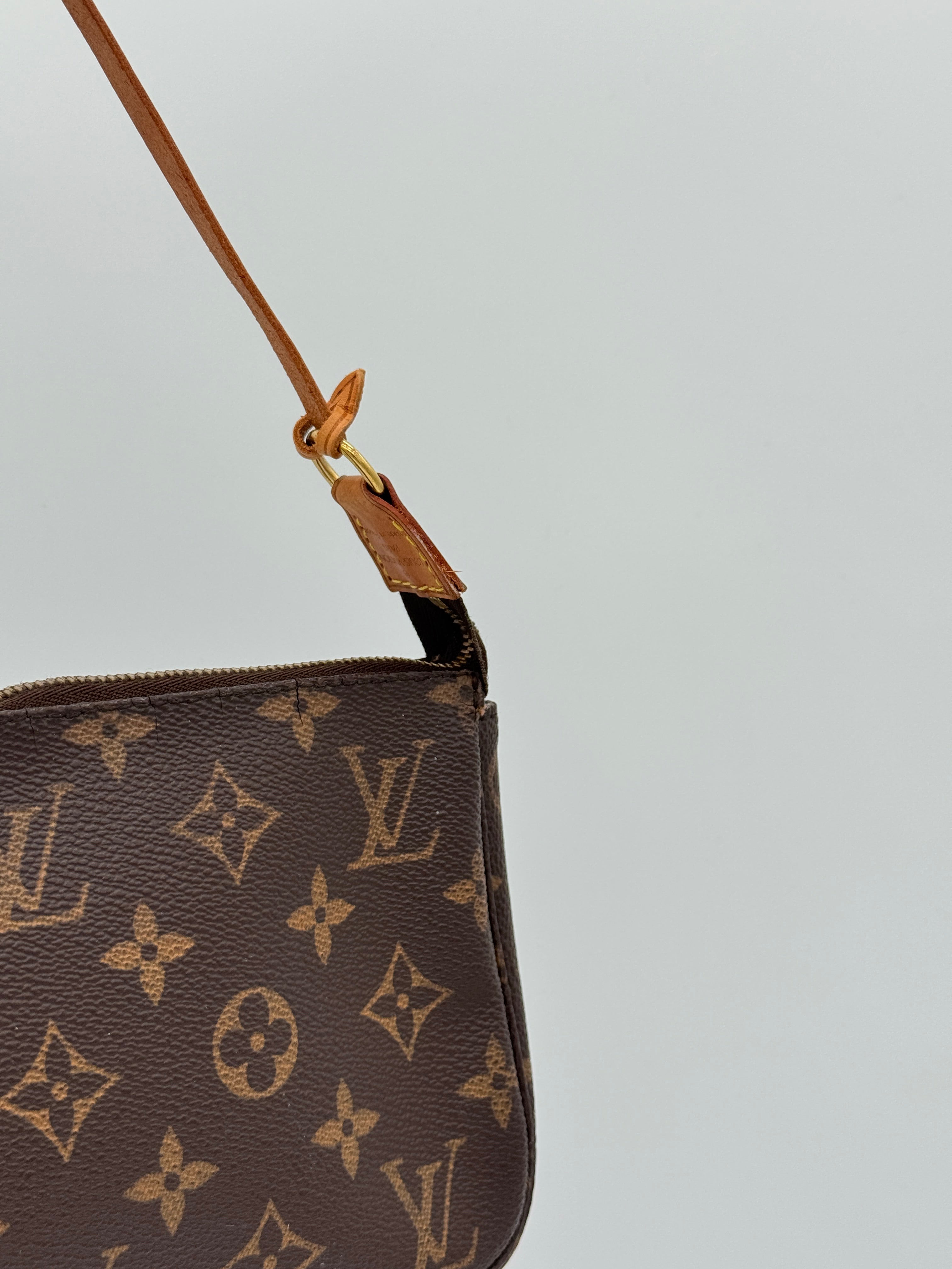 Louis Vuitton Pochette Accessoires