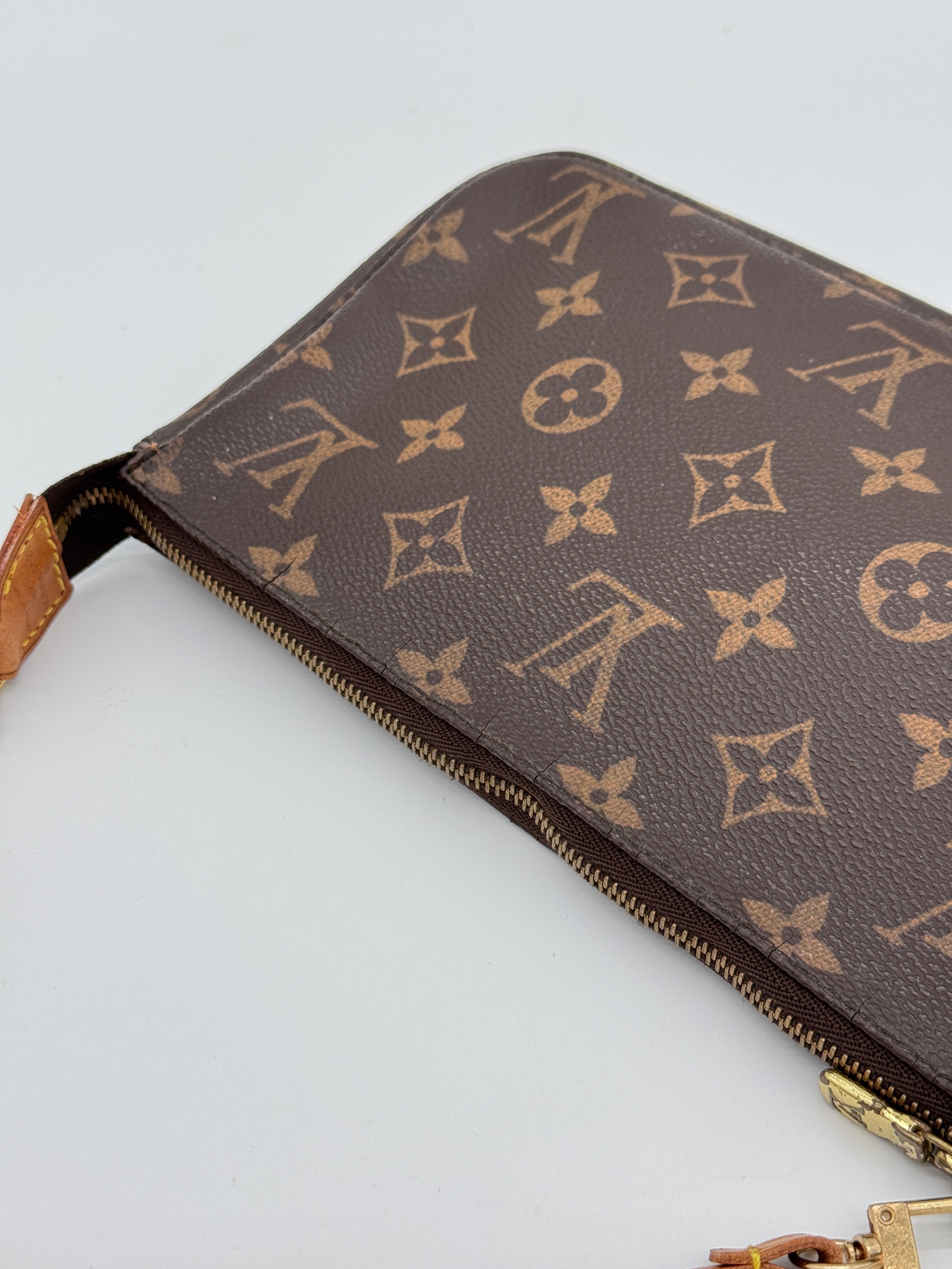 Louis Vuitton Pochette Accessoires