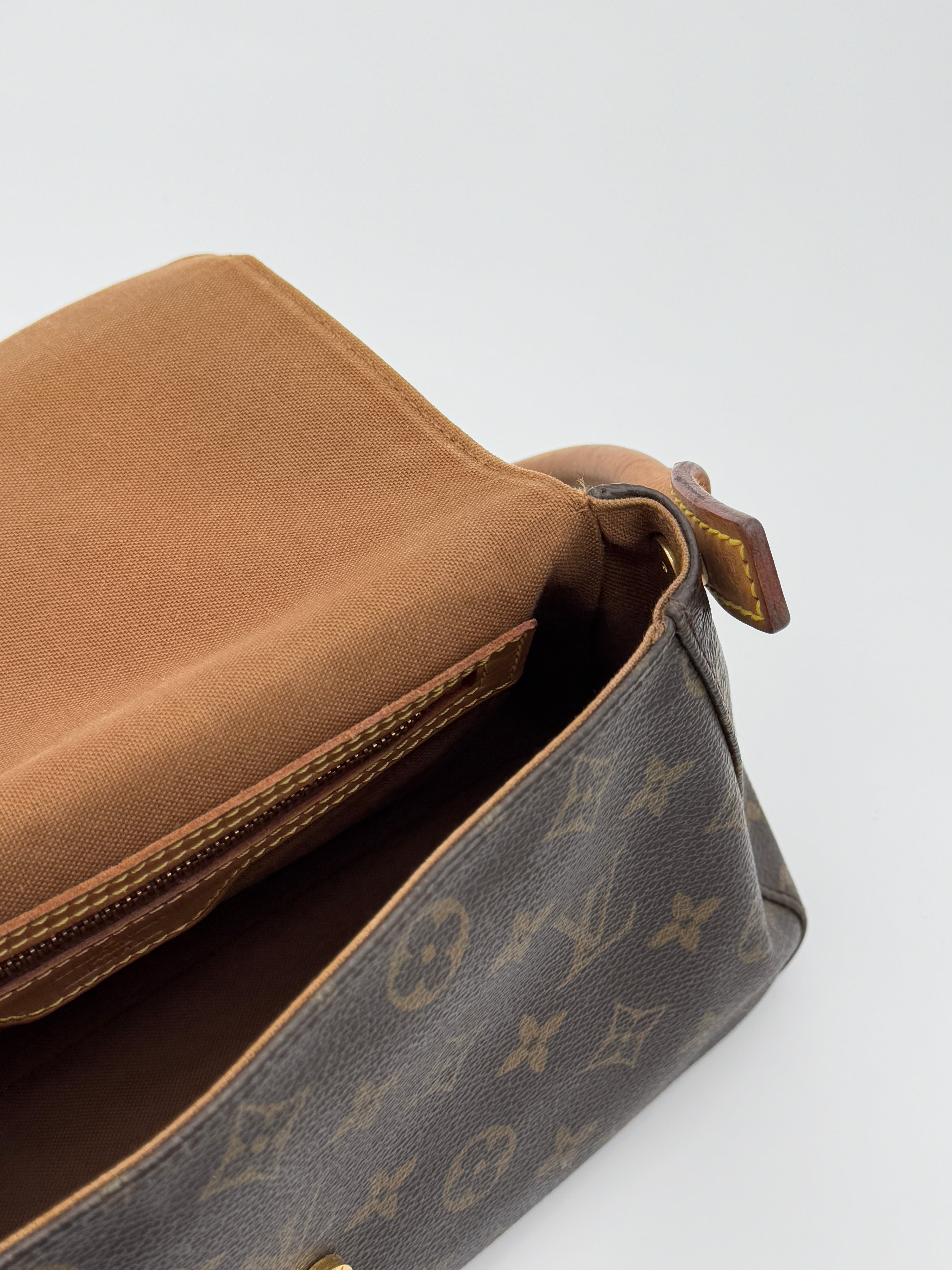 Louis Vuitton Mini Looping