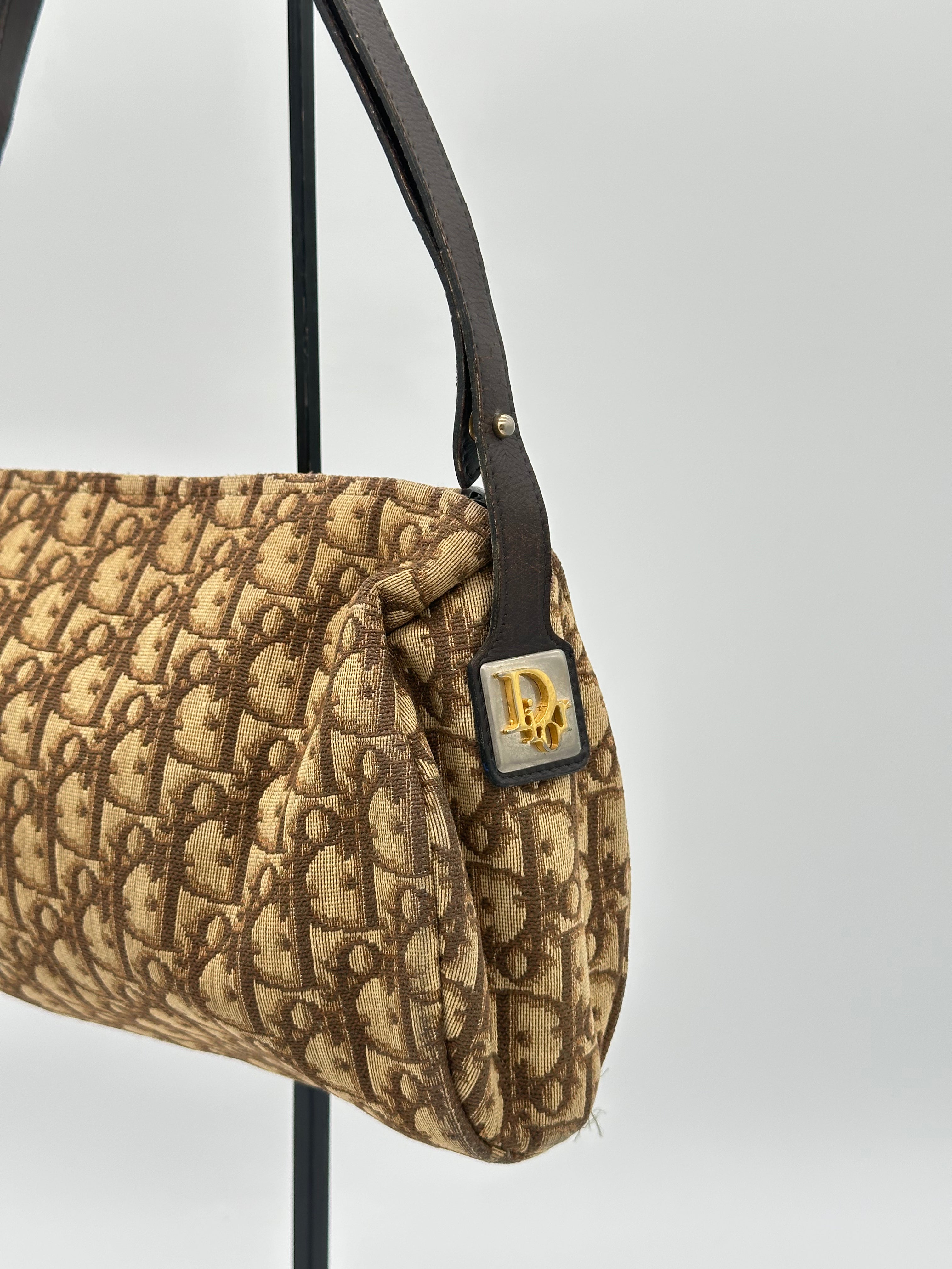 Dior Trotter Canvas