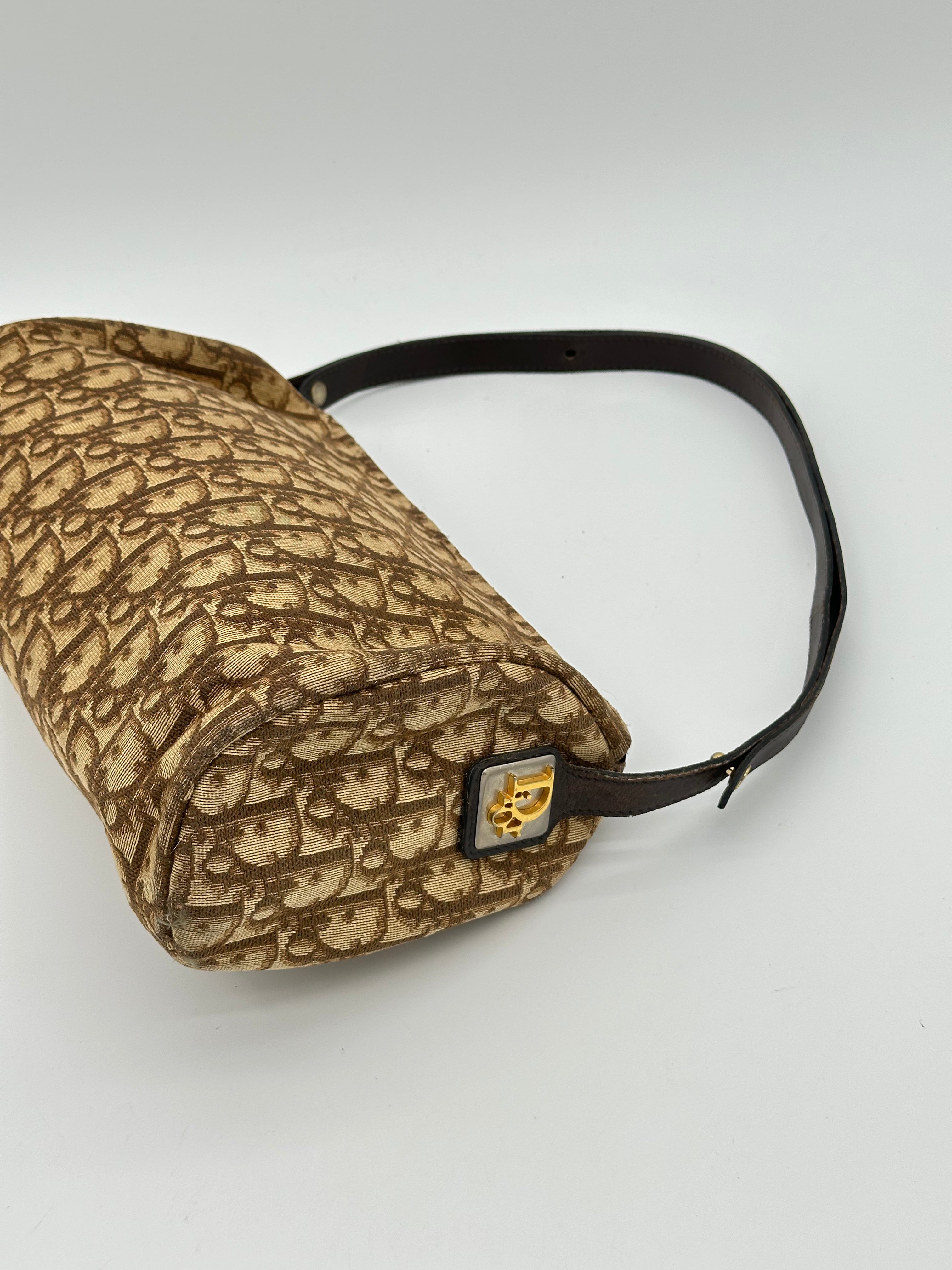 Dior Trotter Canvas