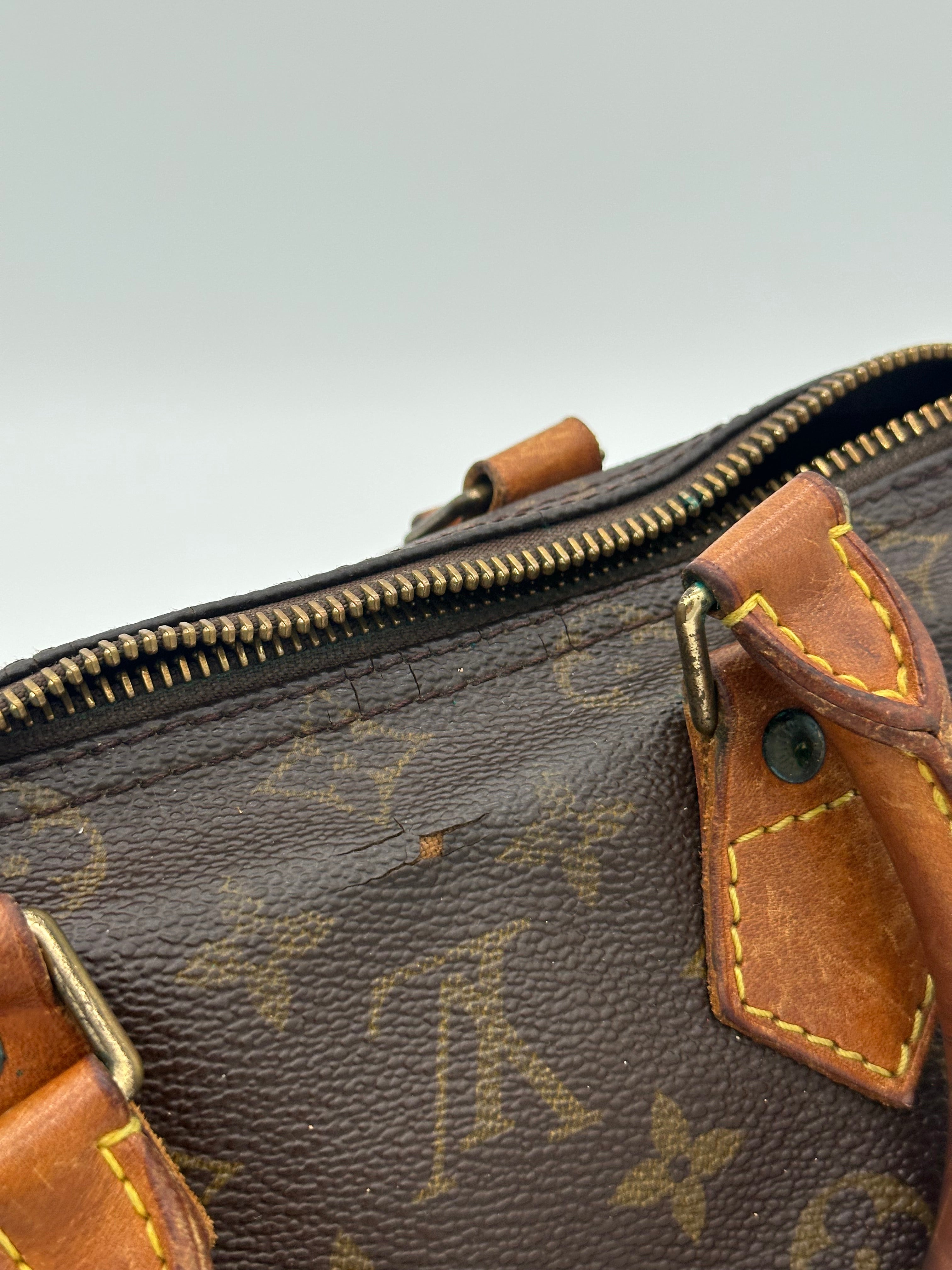 Louis Vuitton Speedy 25