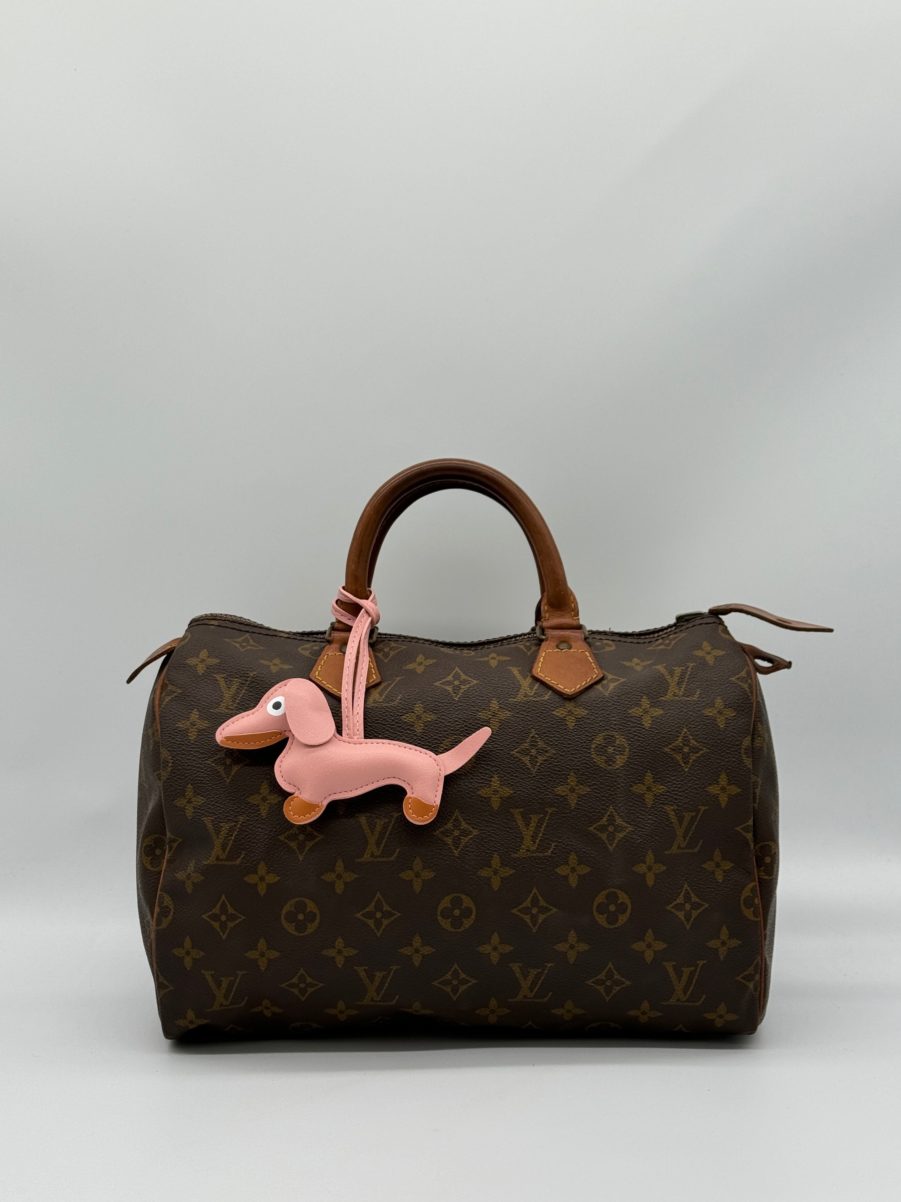 Bagcharm Dog