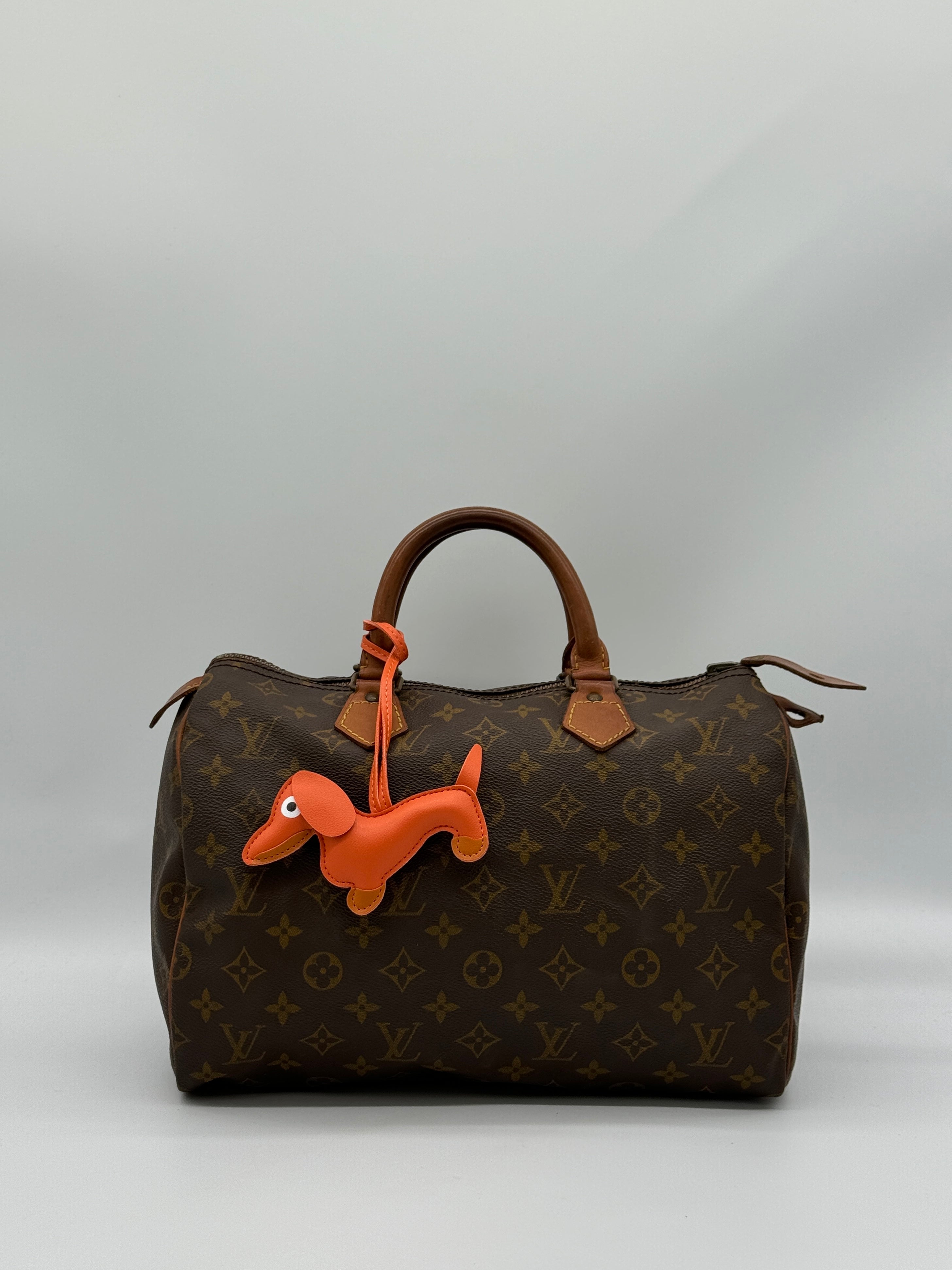 Bagcharm Dog