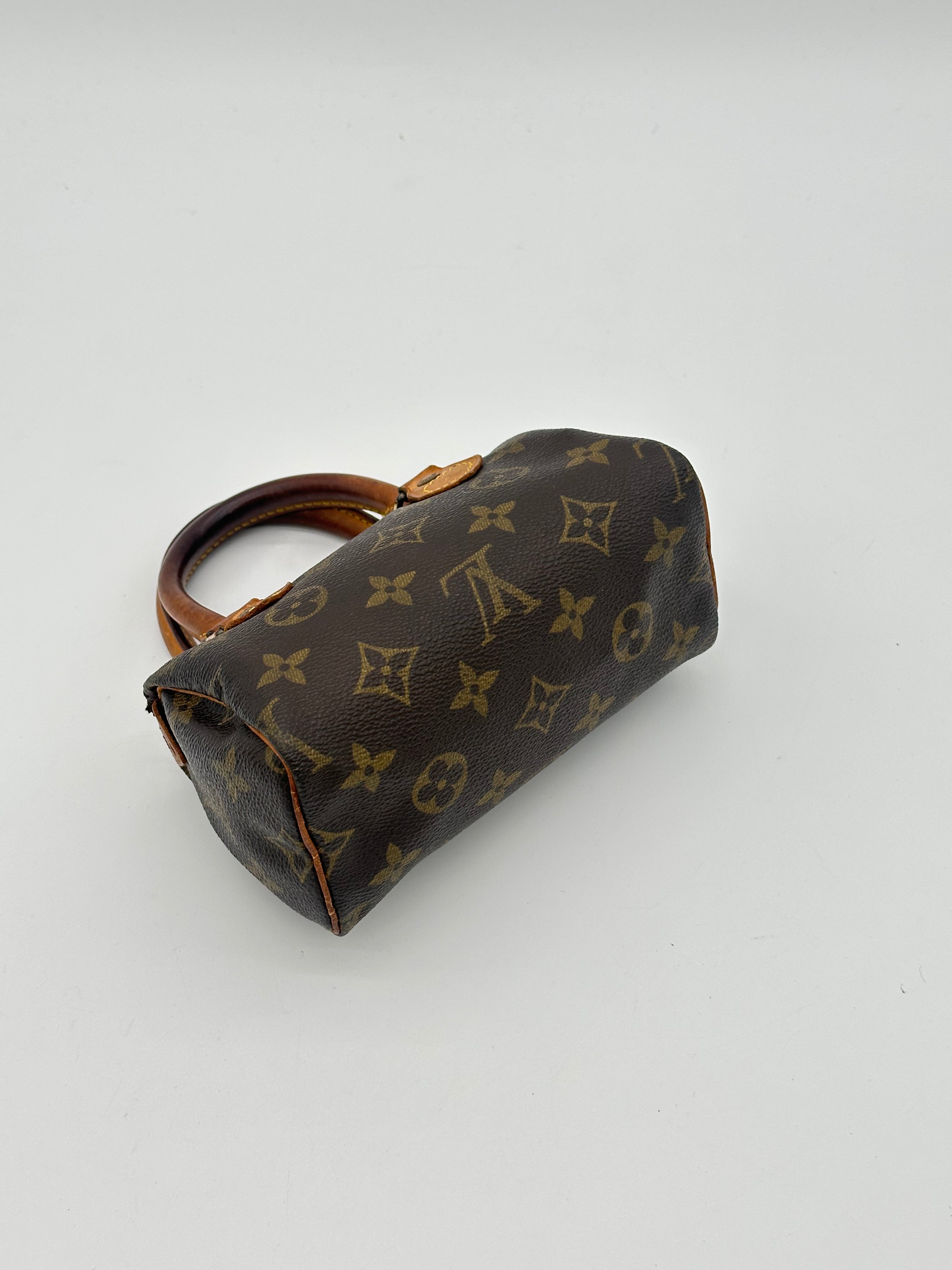 Louis Vuitton Nano Speedy
