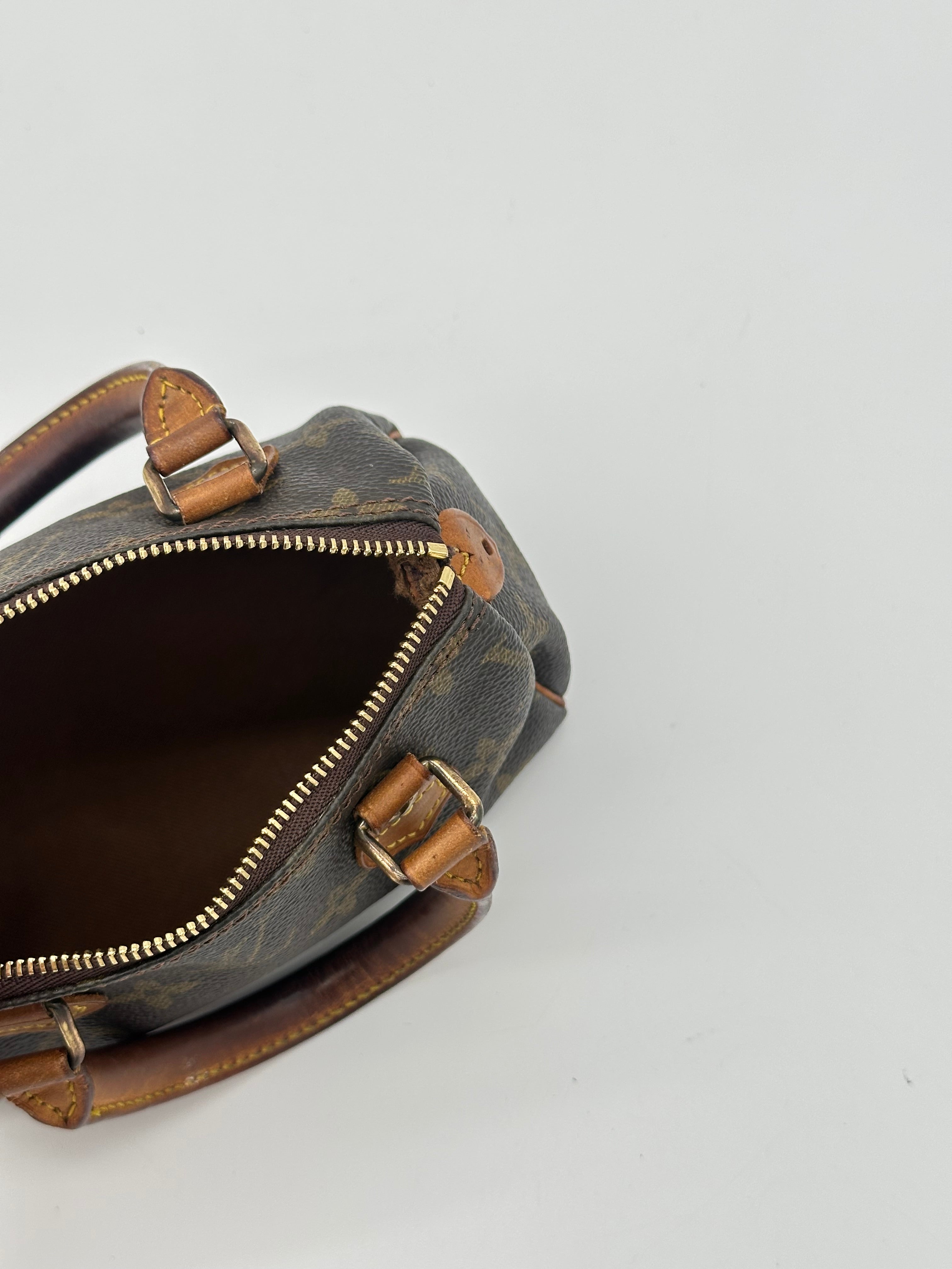 Louis Vuitton Nano Speedy