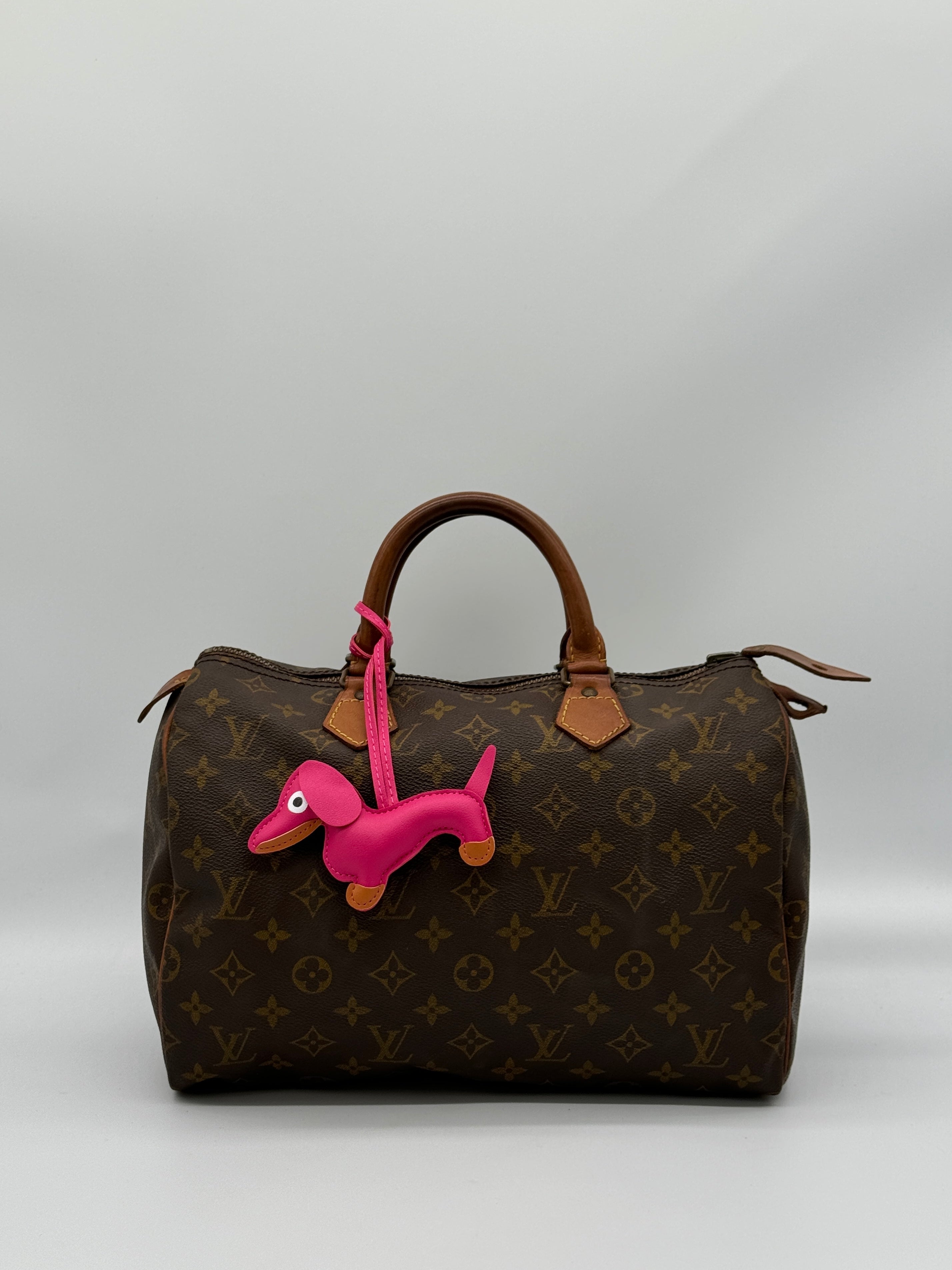 Bagcharm Dog