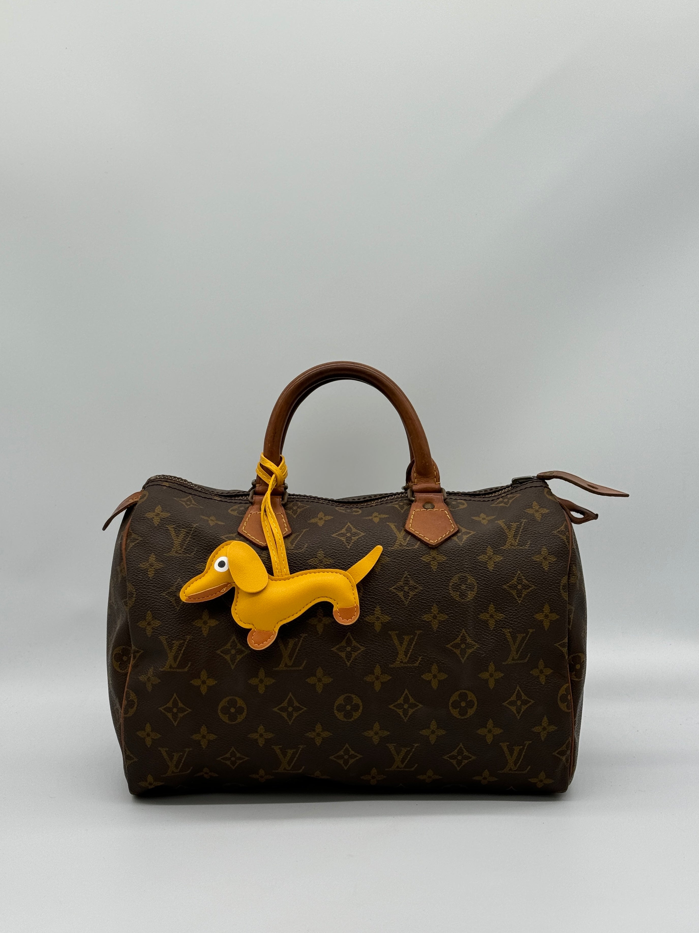 Bagcharm Dog