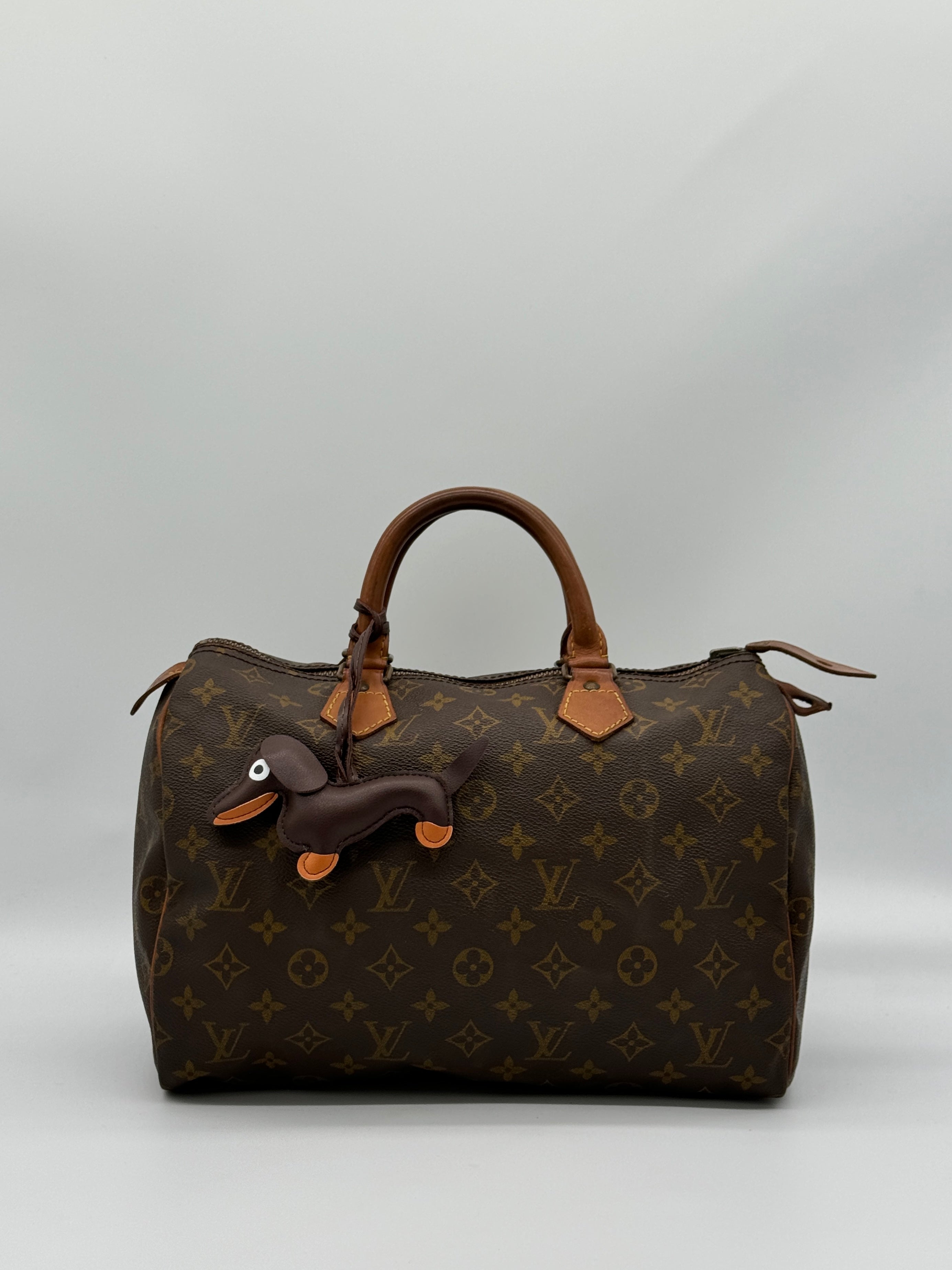 Bagcharm Dog