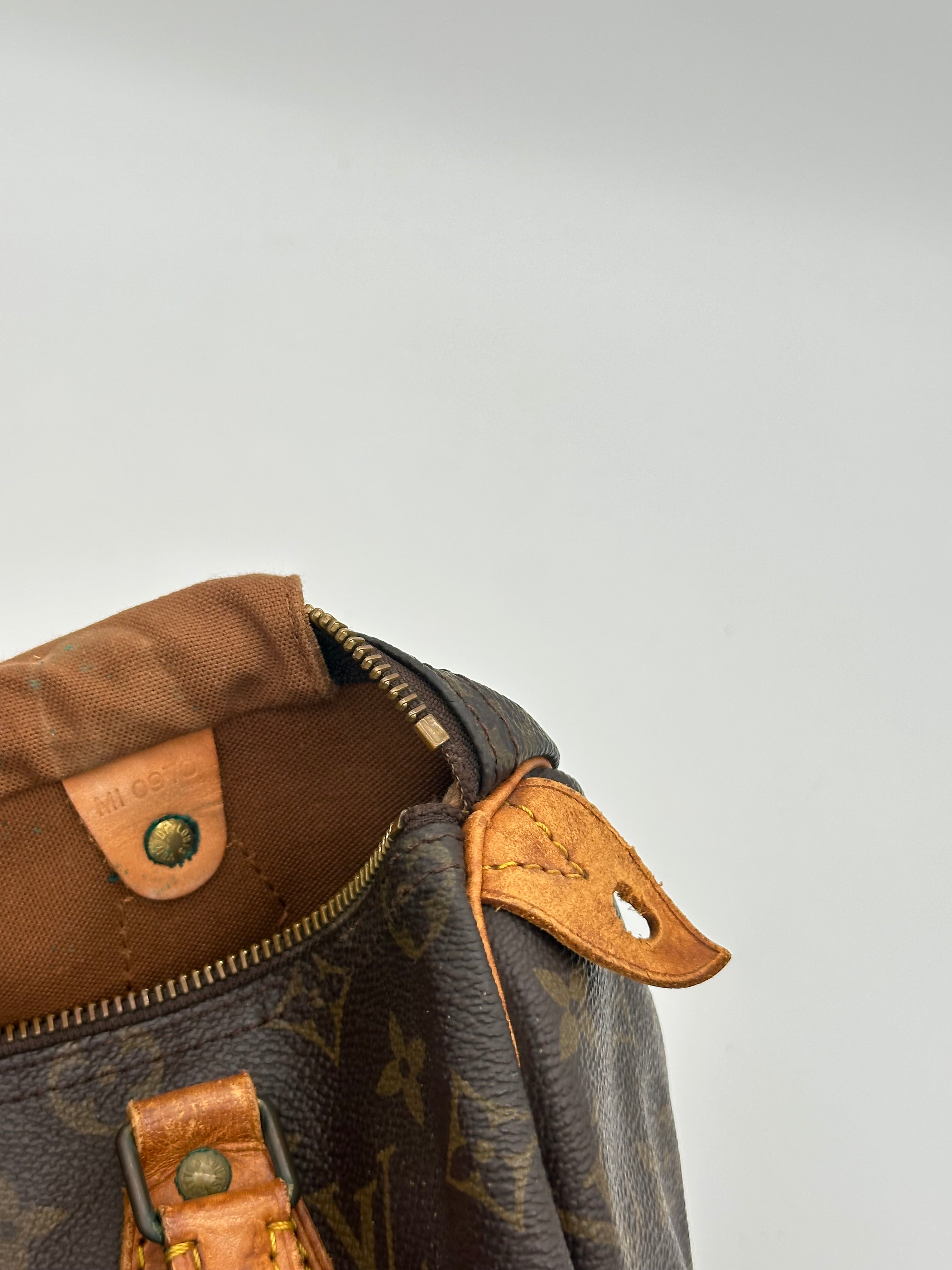 Louis Vuitton Speedy 25