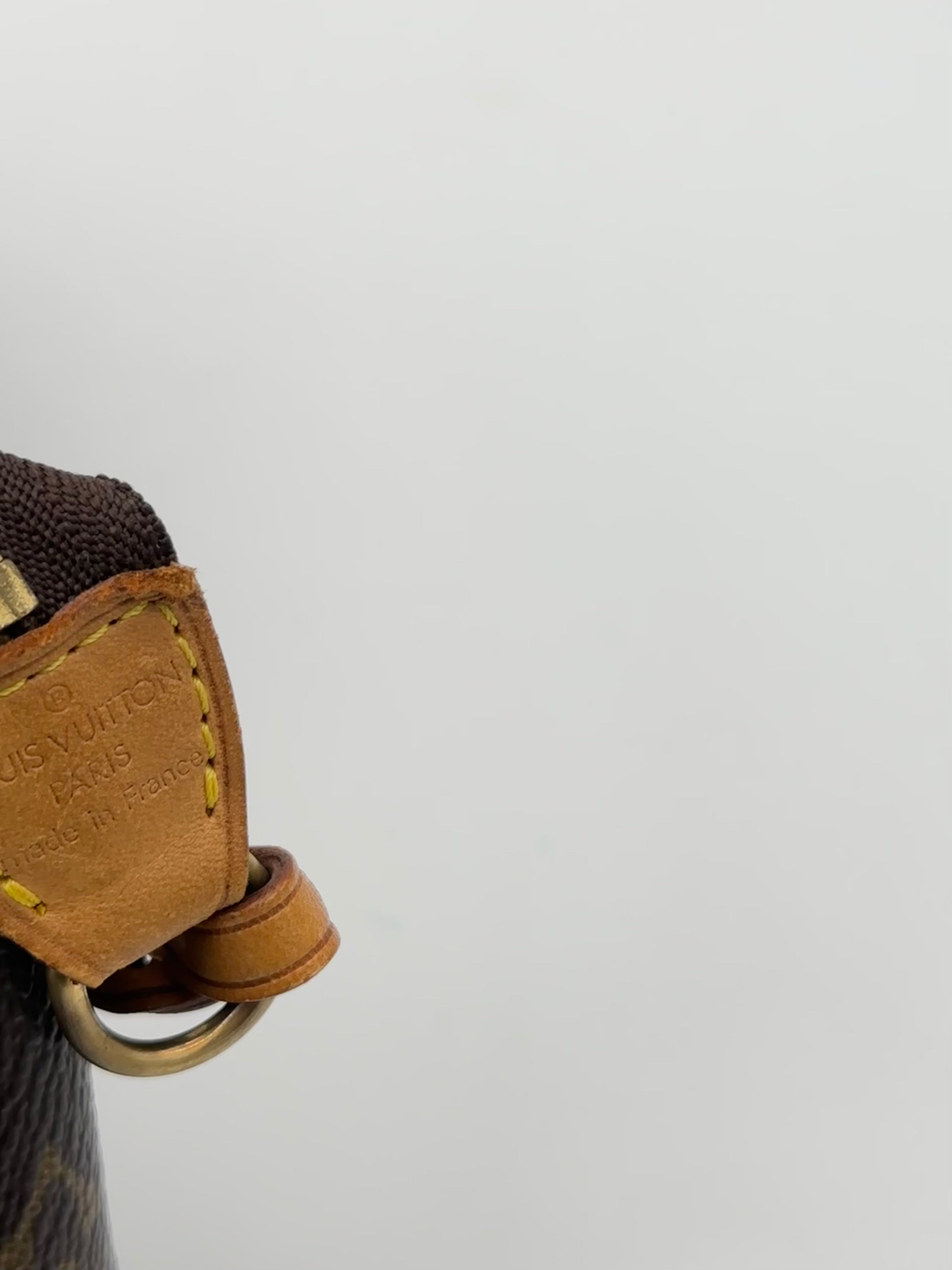 Louis Vuitton Pochette Accessoires