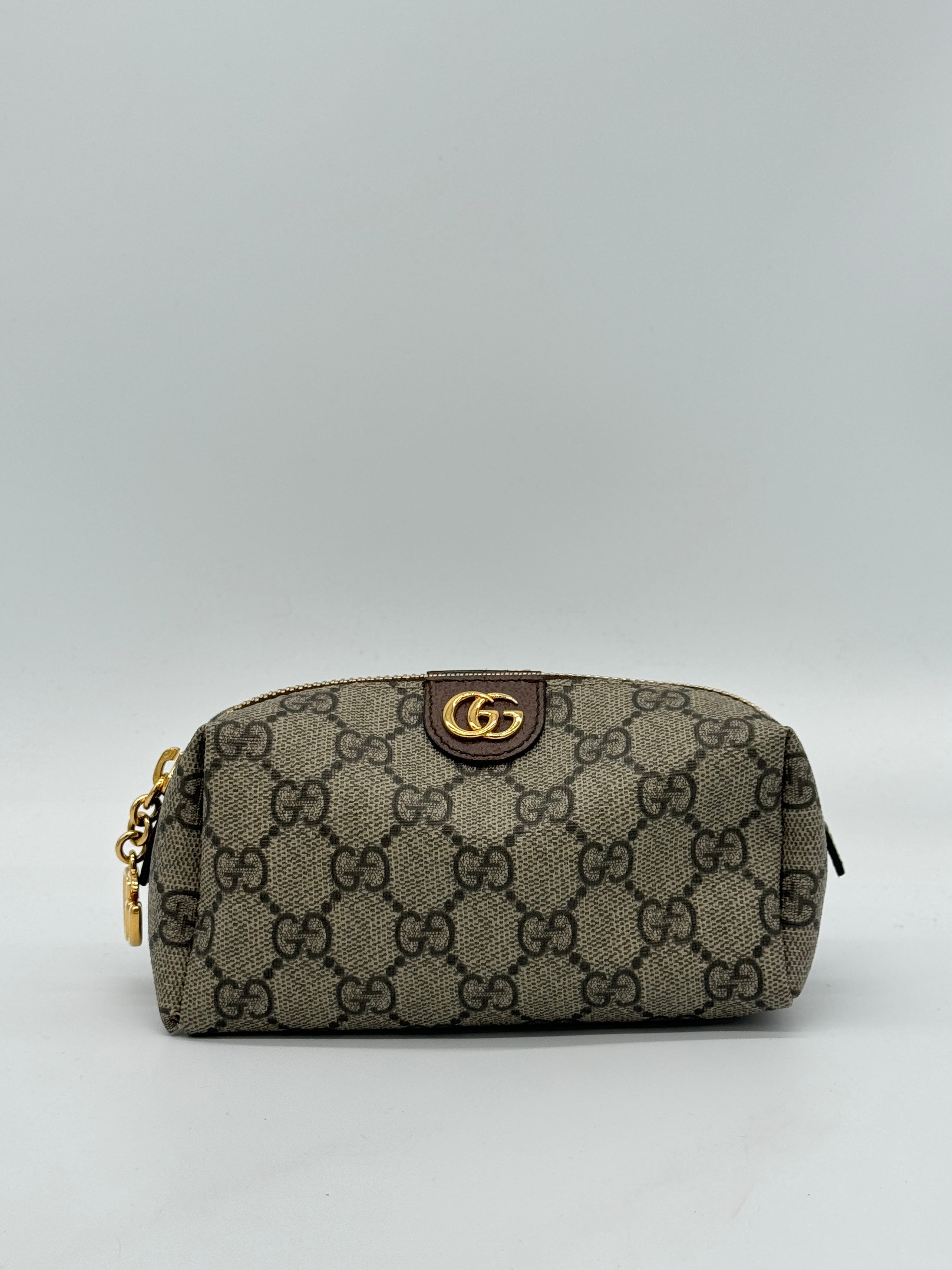 Gucci Ophidia Supreme Pouch
