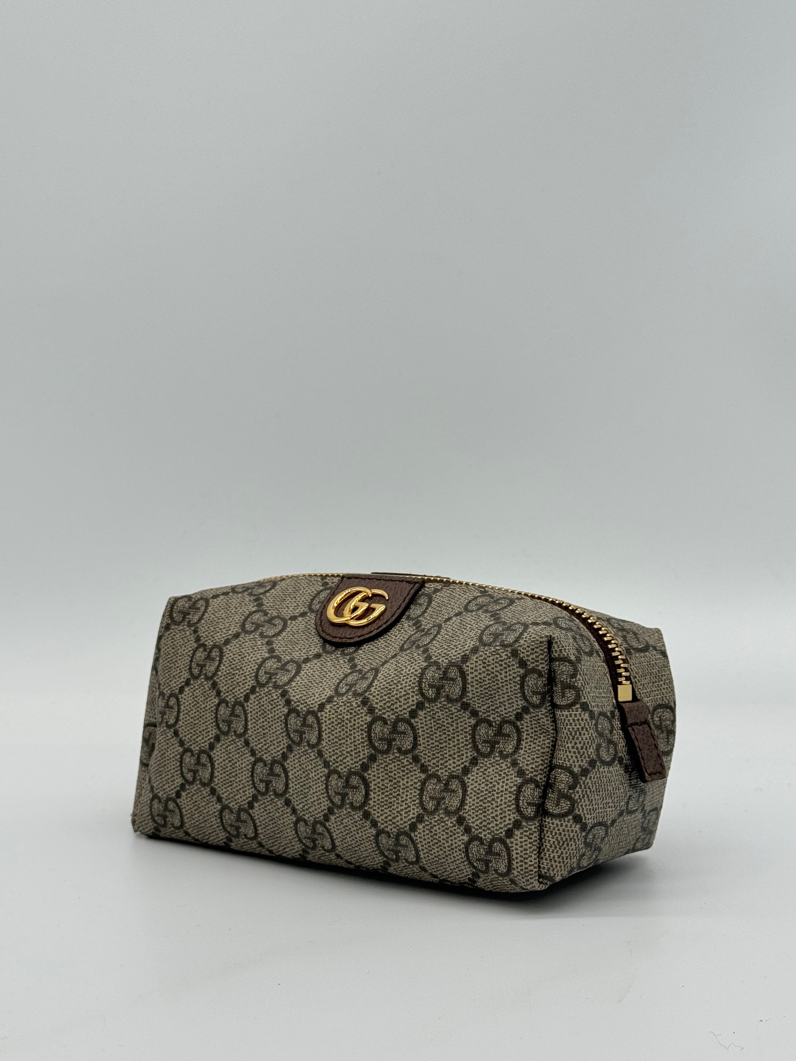Gucci Ophidia Supreme Pouch