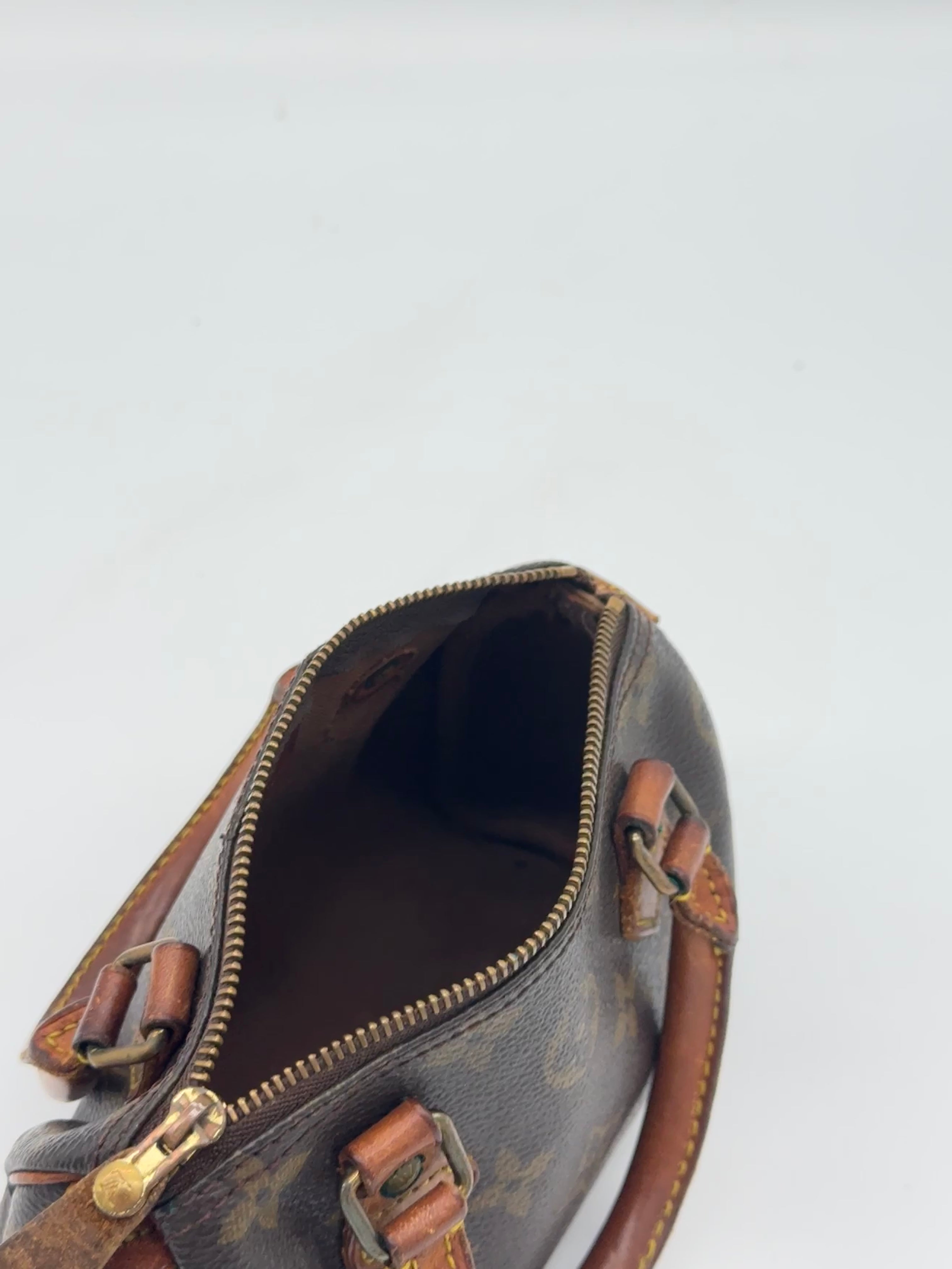 Louis Vuitton Nano Speedy