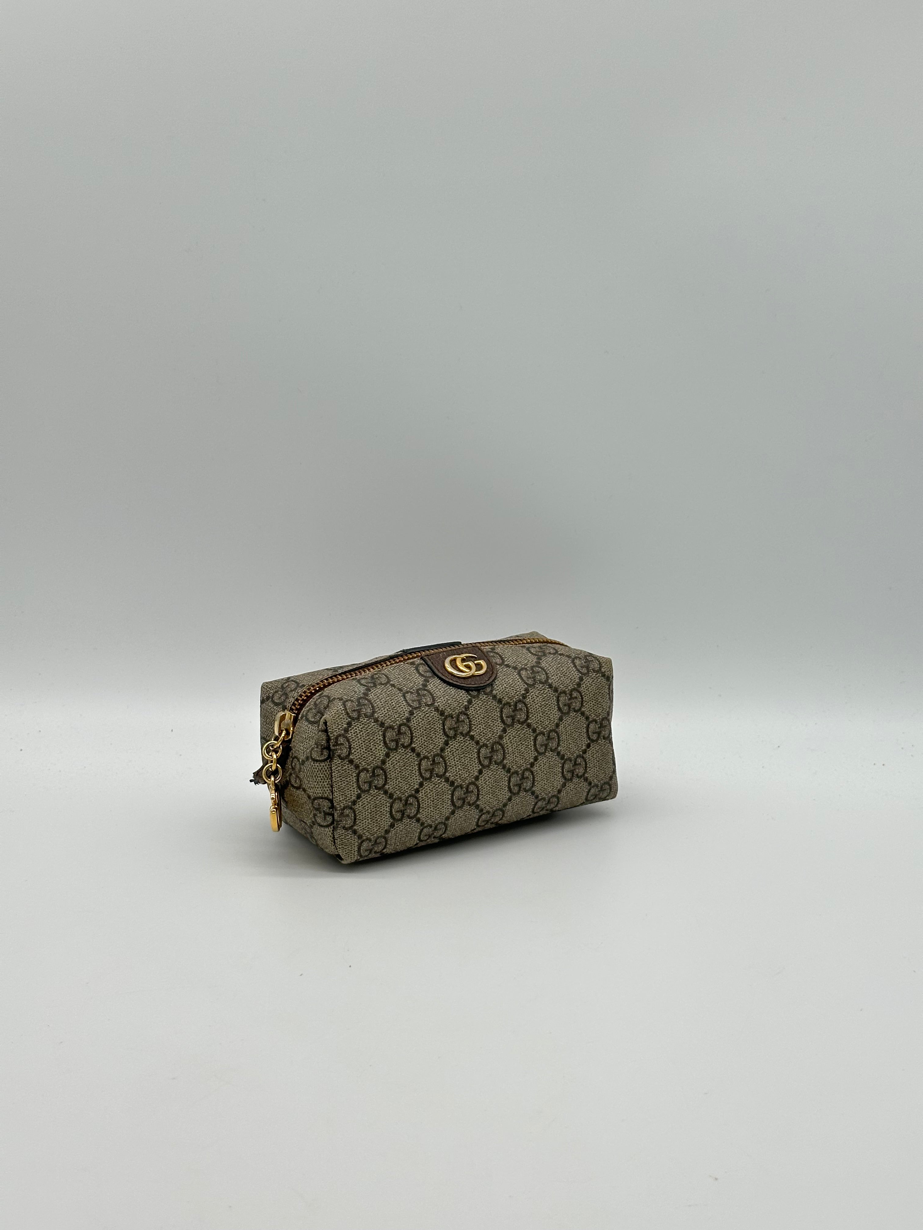Gucci Ophidia Pouch