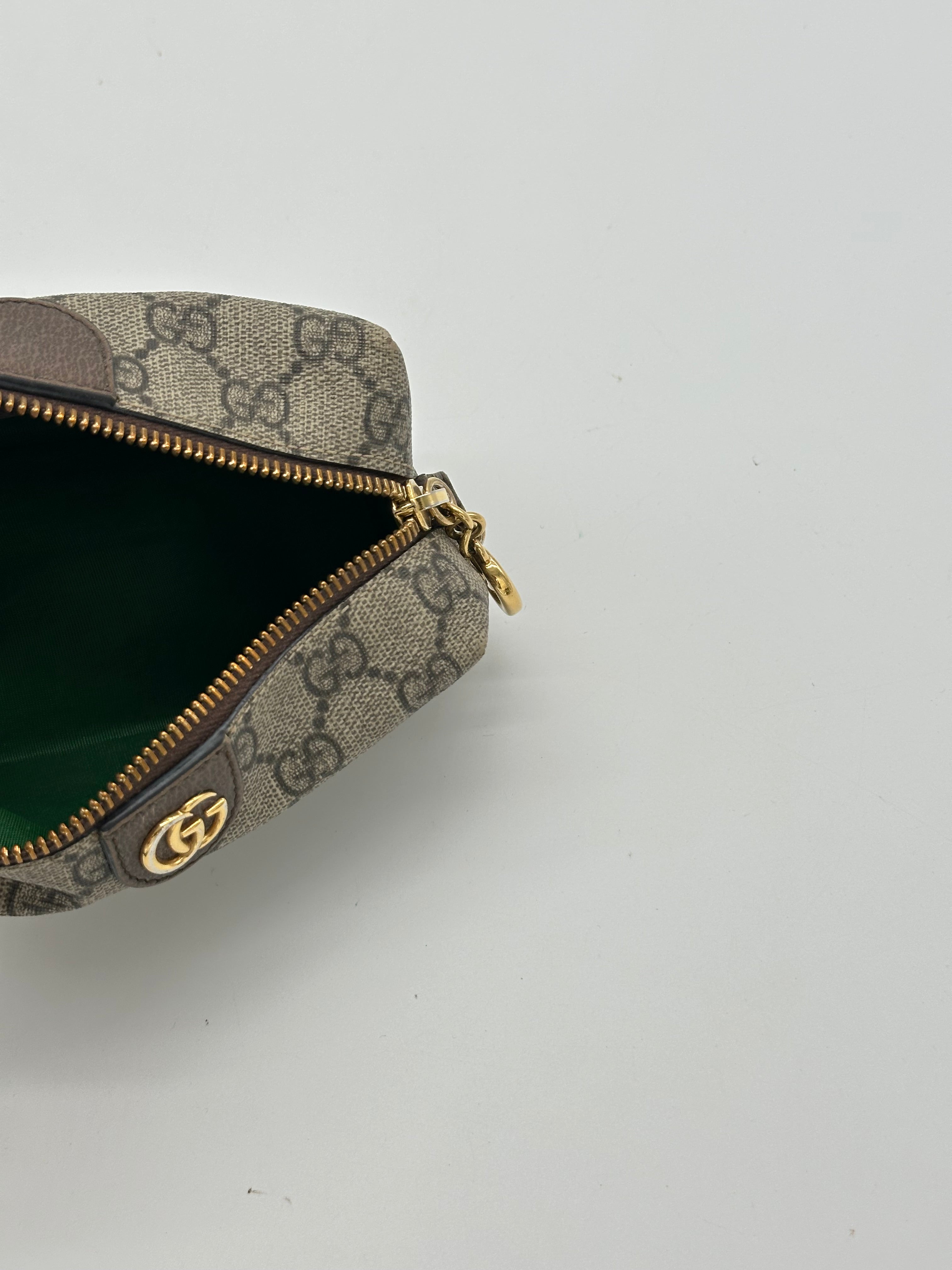Gucci Ophidia Pouch