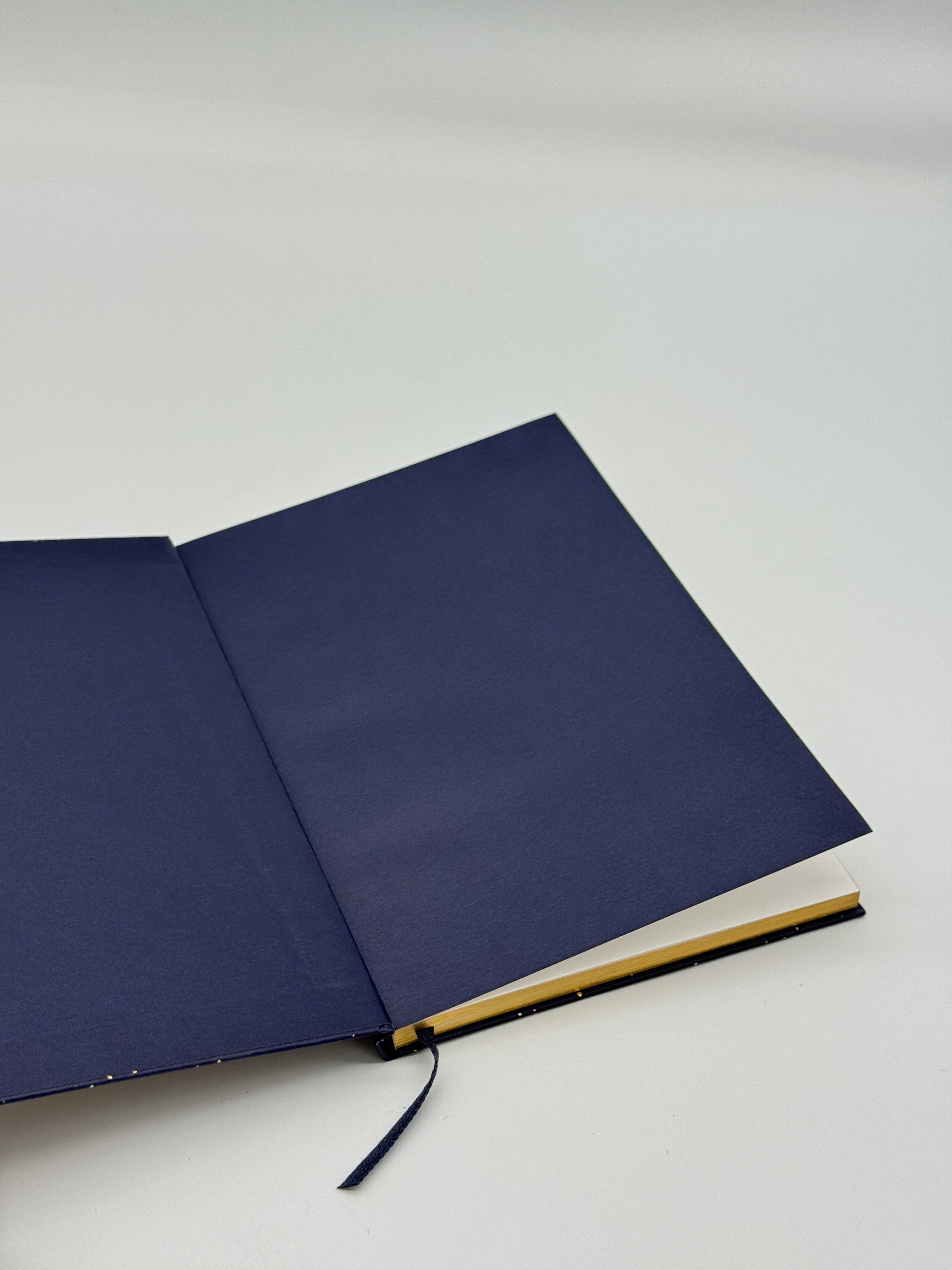 Dior 'Lunar' Notebook