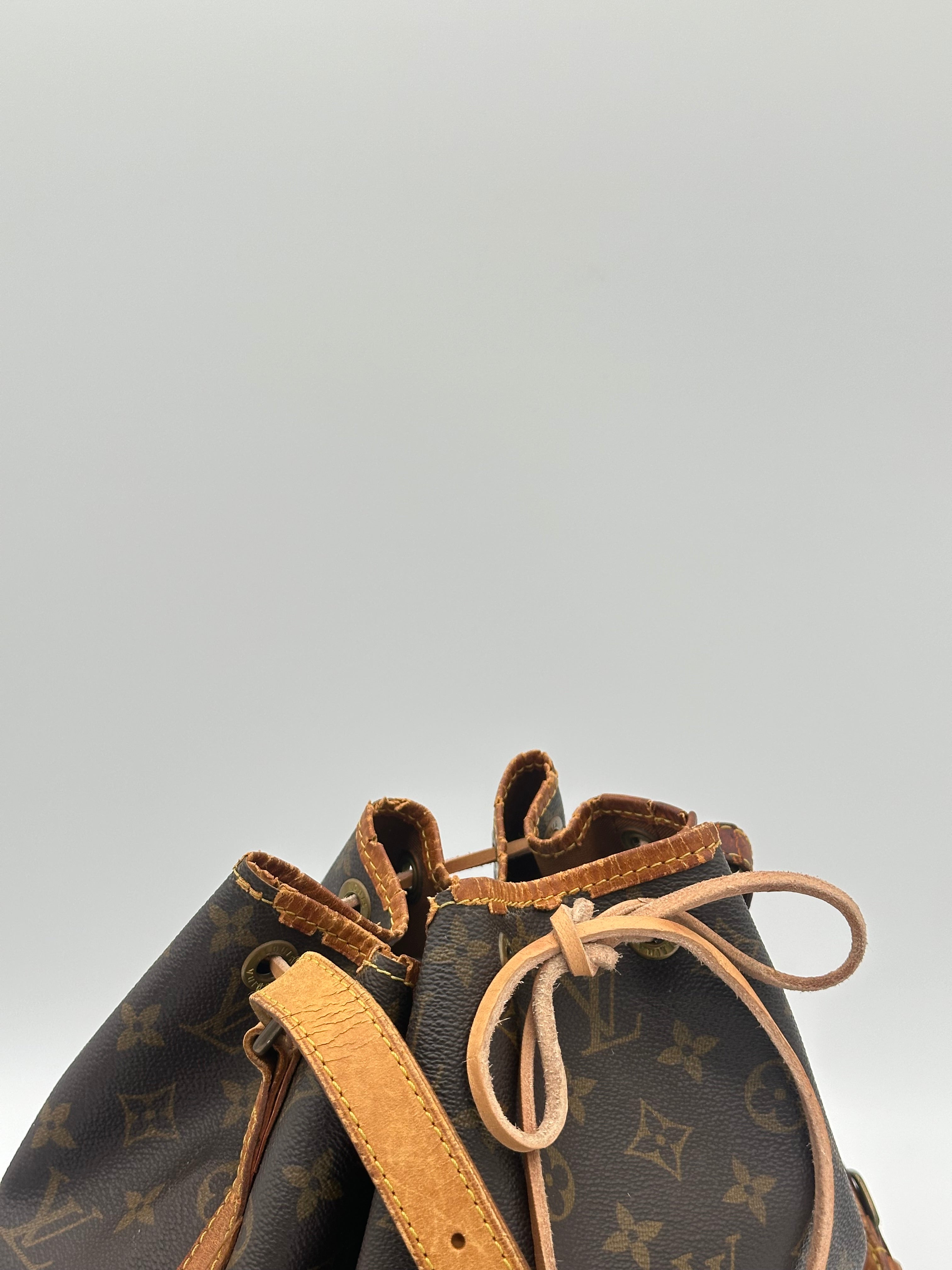 Louis Vuitton Petit Noé