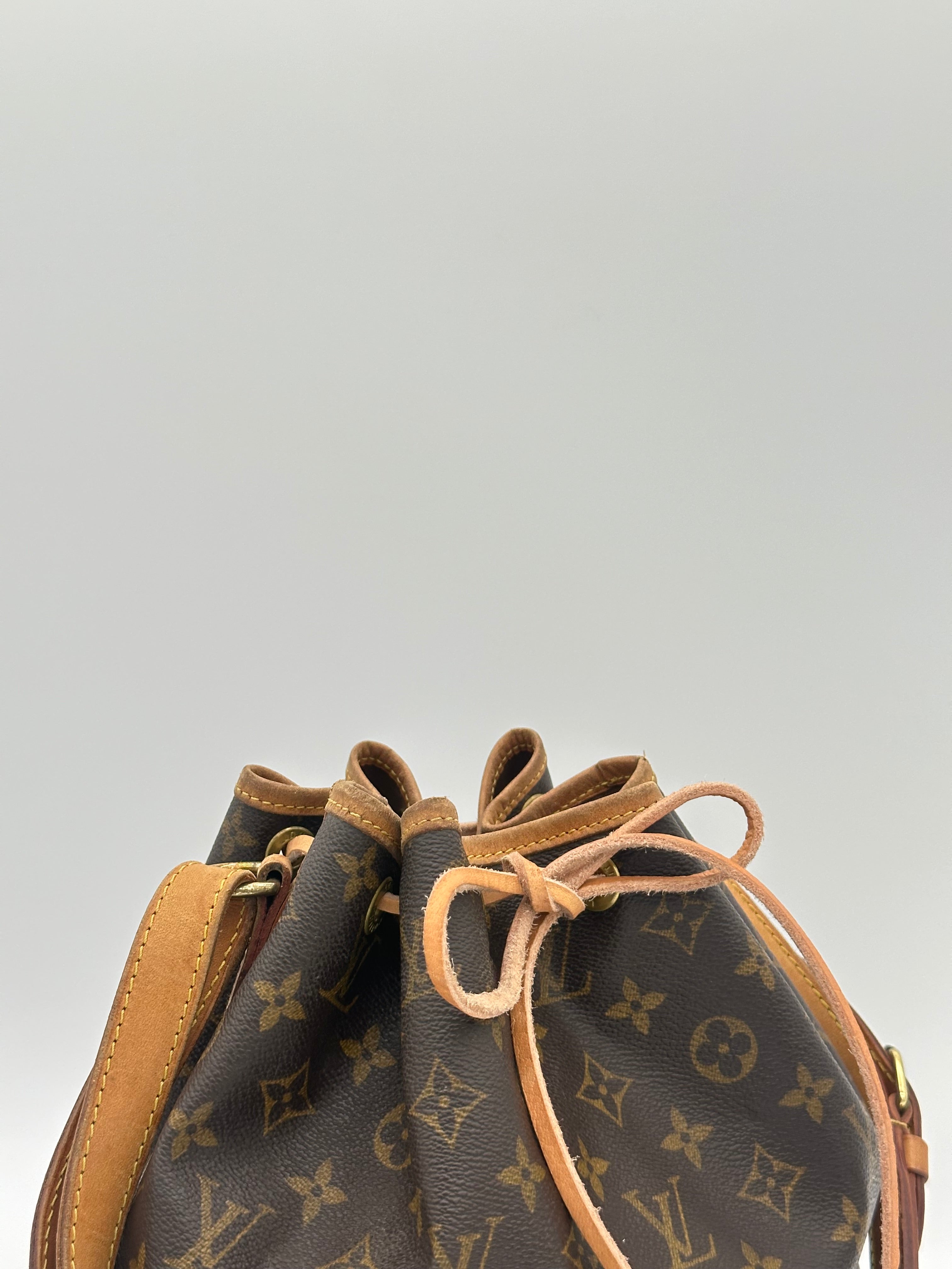 Louis Vuitton Petit Noé