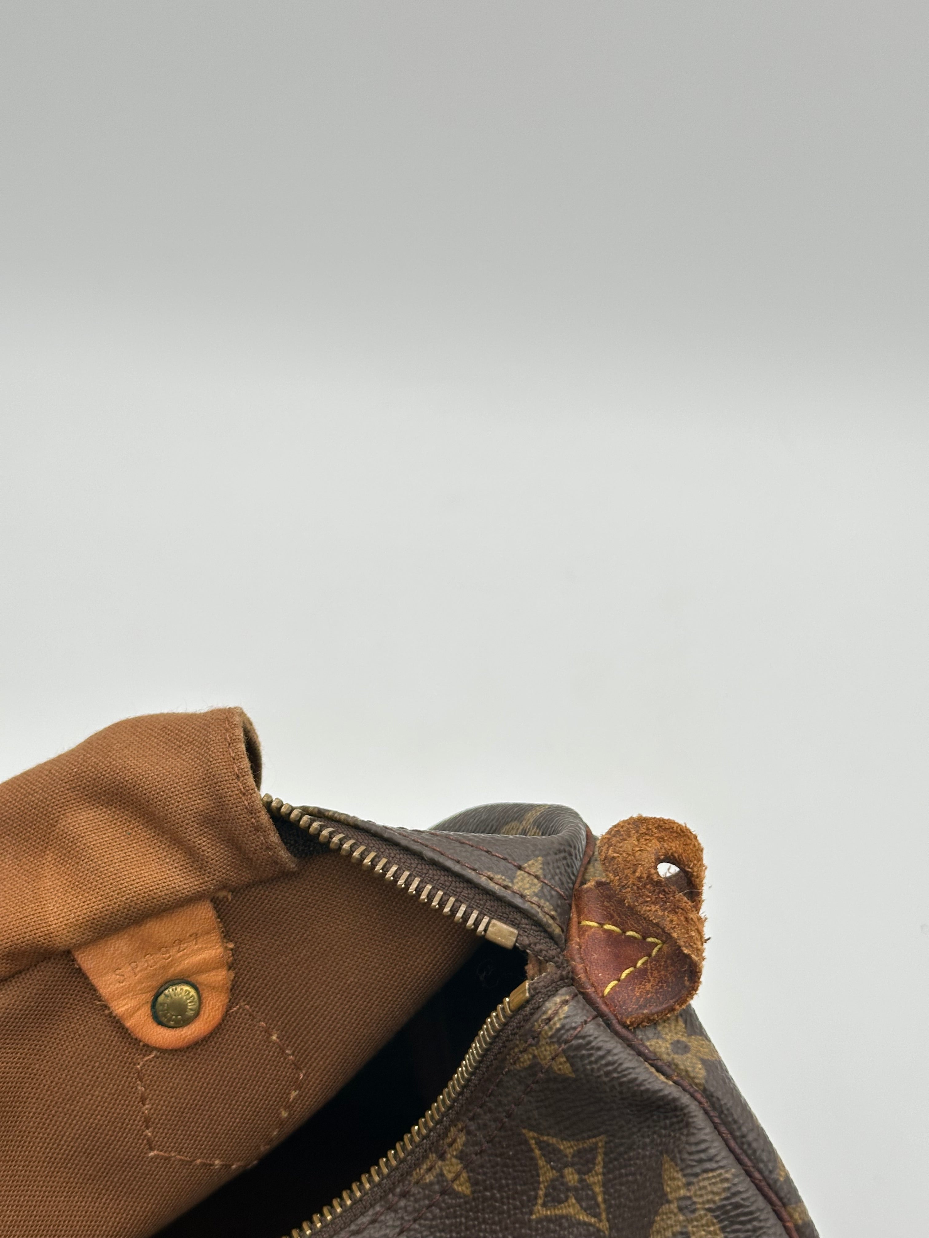 Louis Vuitton Speedy 30