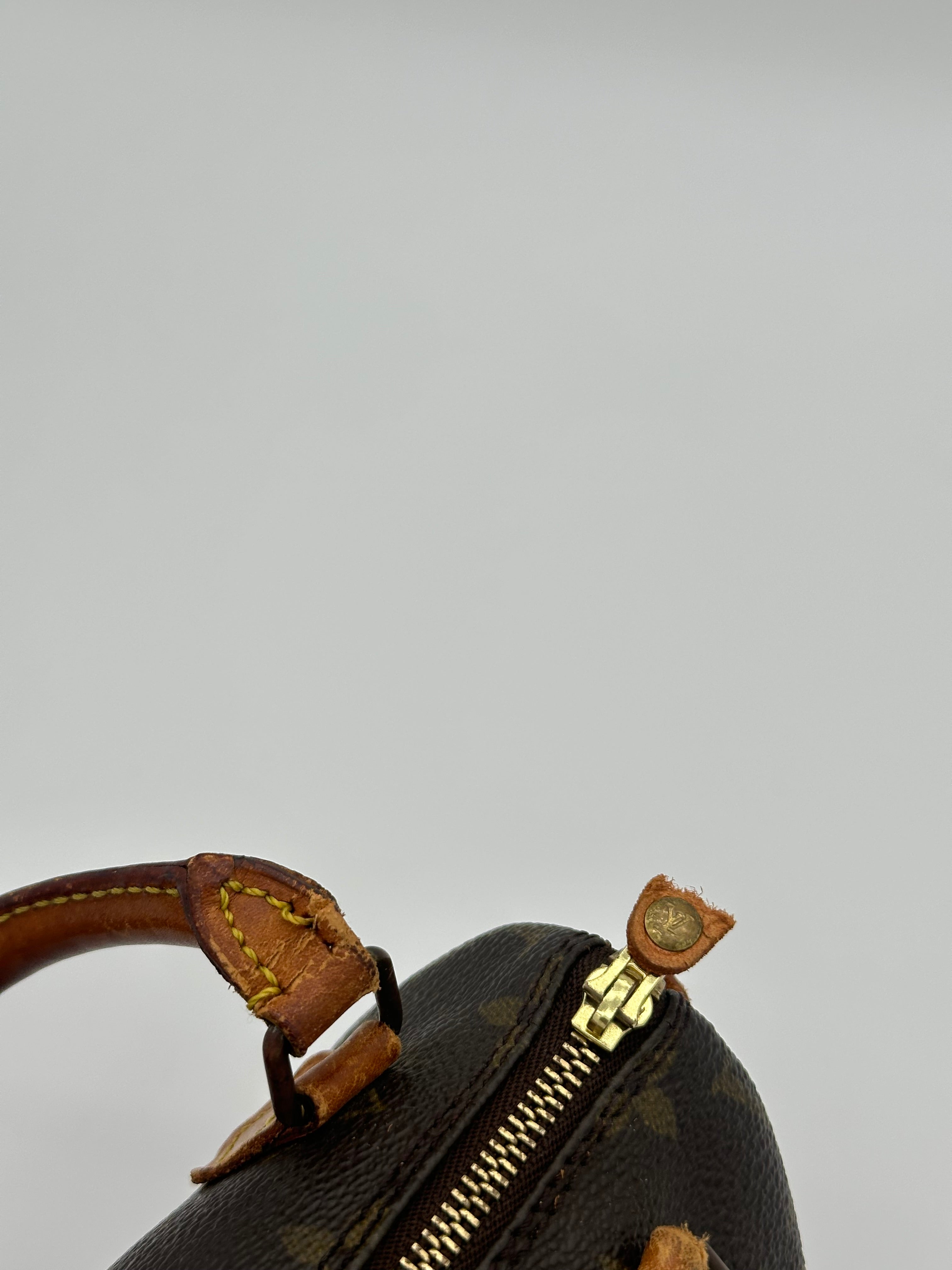 Louis Vuitton Nano Speedy