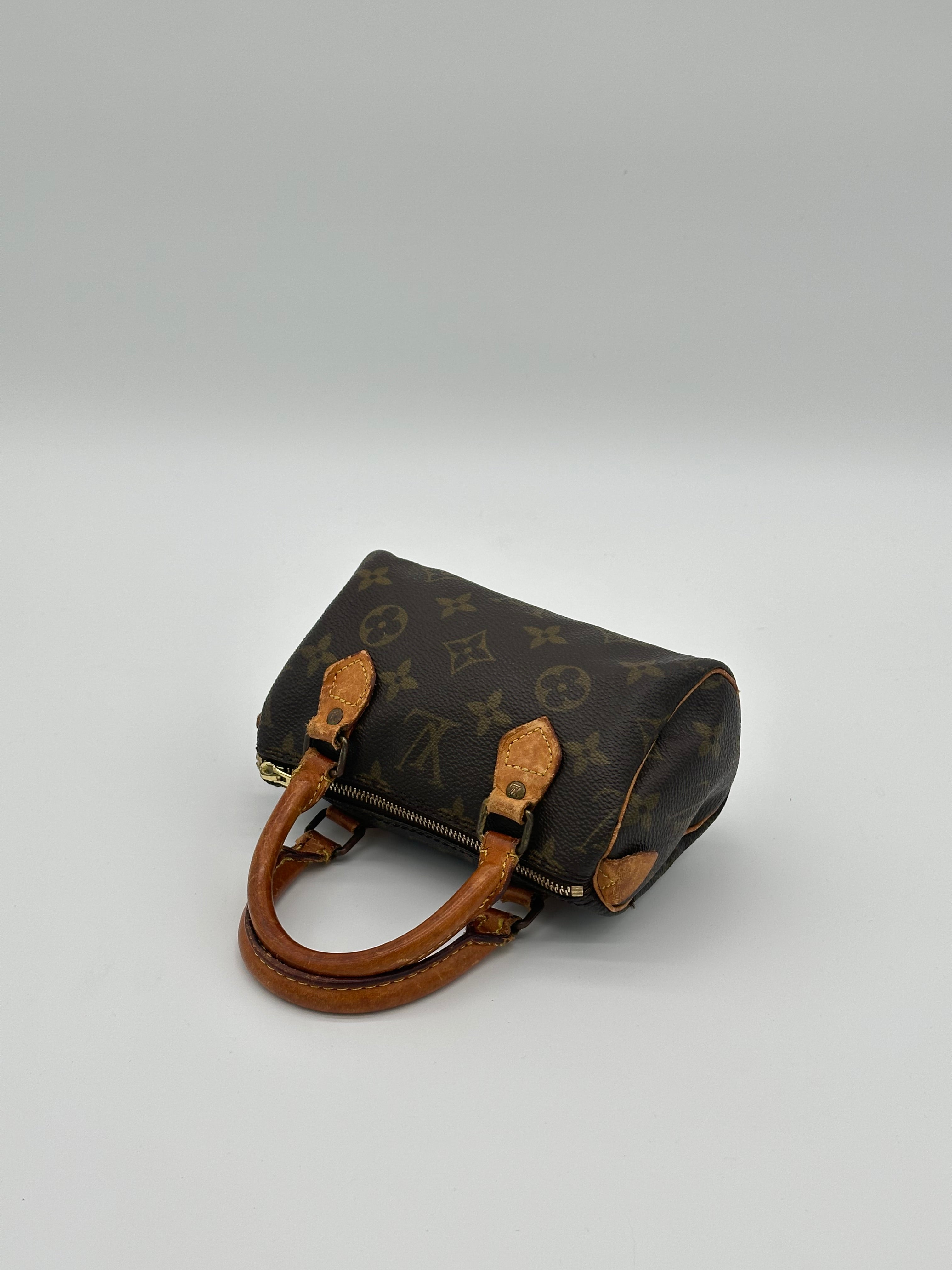 Louis Vuitton Nano Speedy