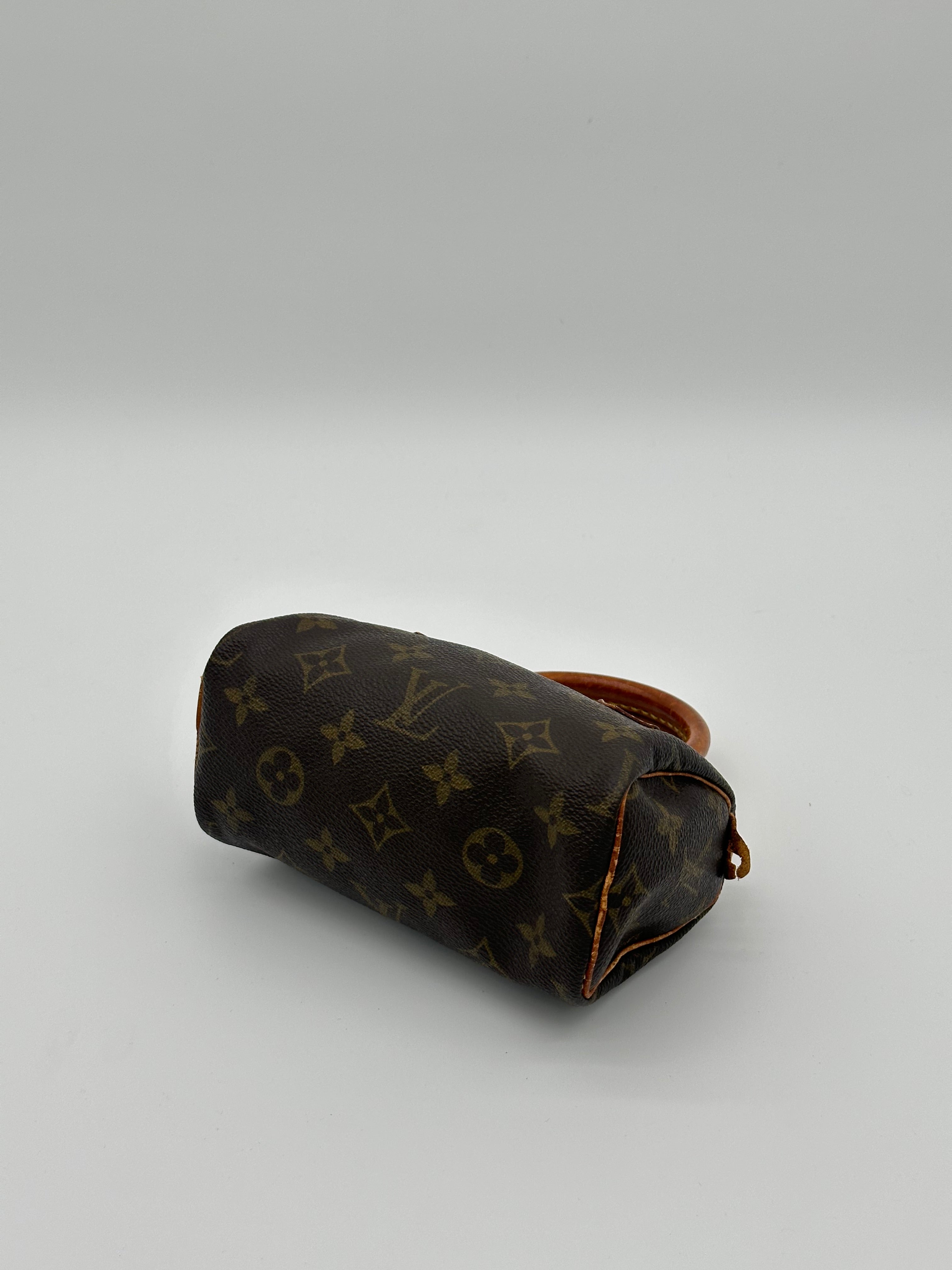 Louis Vuitton Nano Speedy
