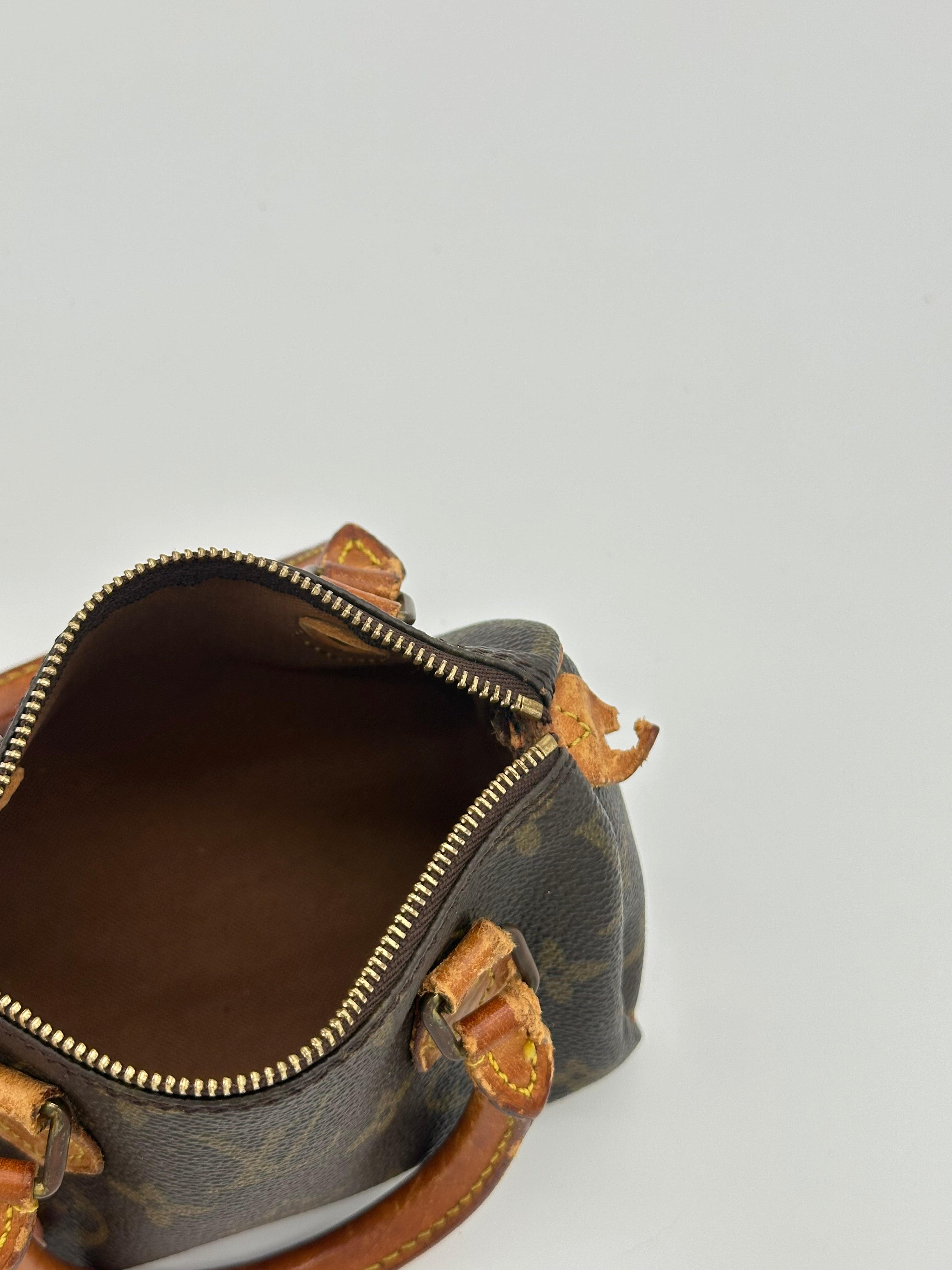 Louis Vuitton Nano Speedy